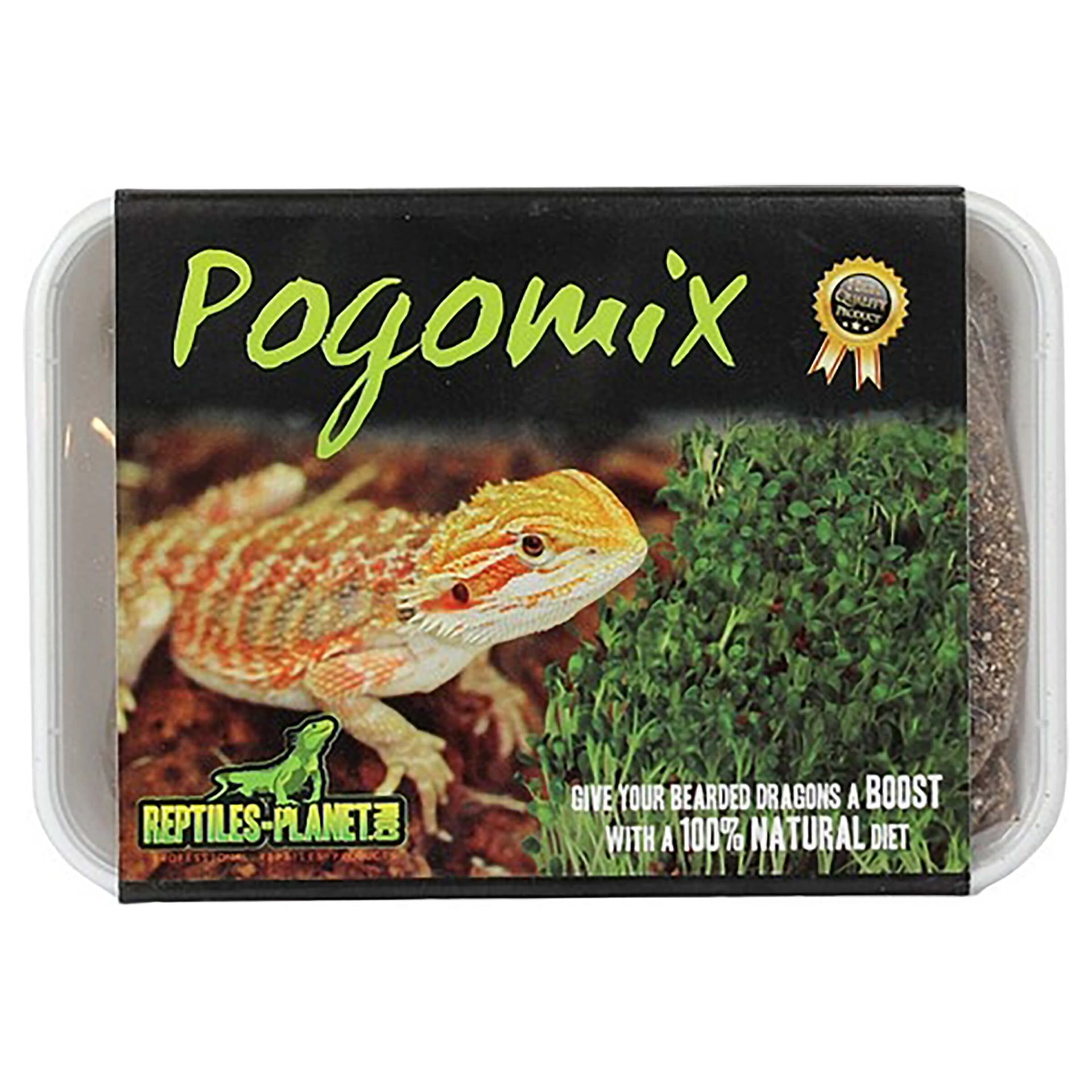 Pogomix Bol d'herbes - Dragon barbu