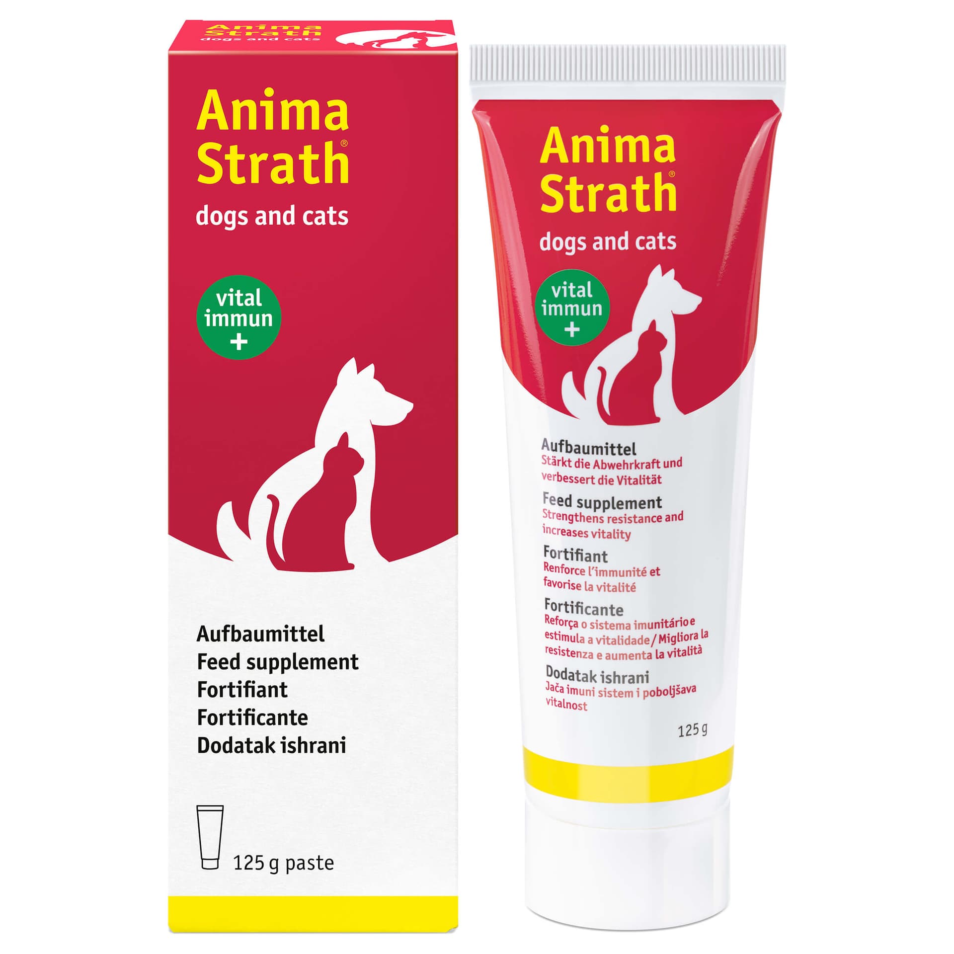 Paste Aufbau- & Stärkungsmittel