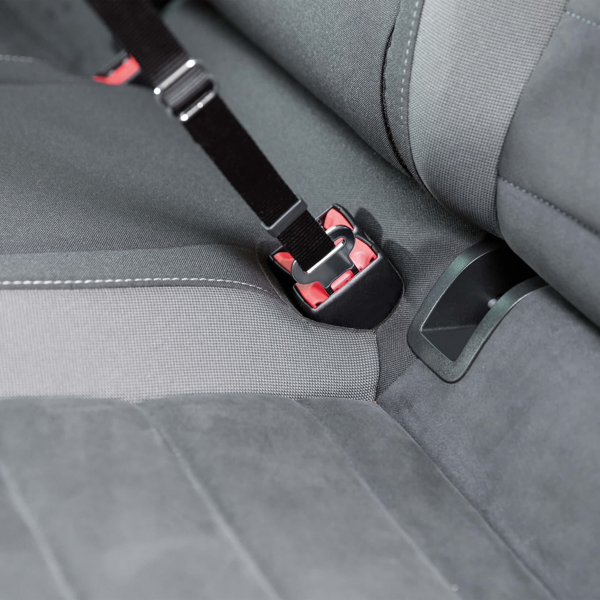Ceinture de sécurité pour chiens