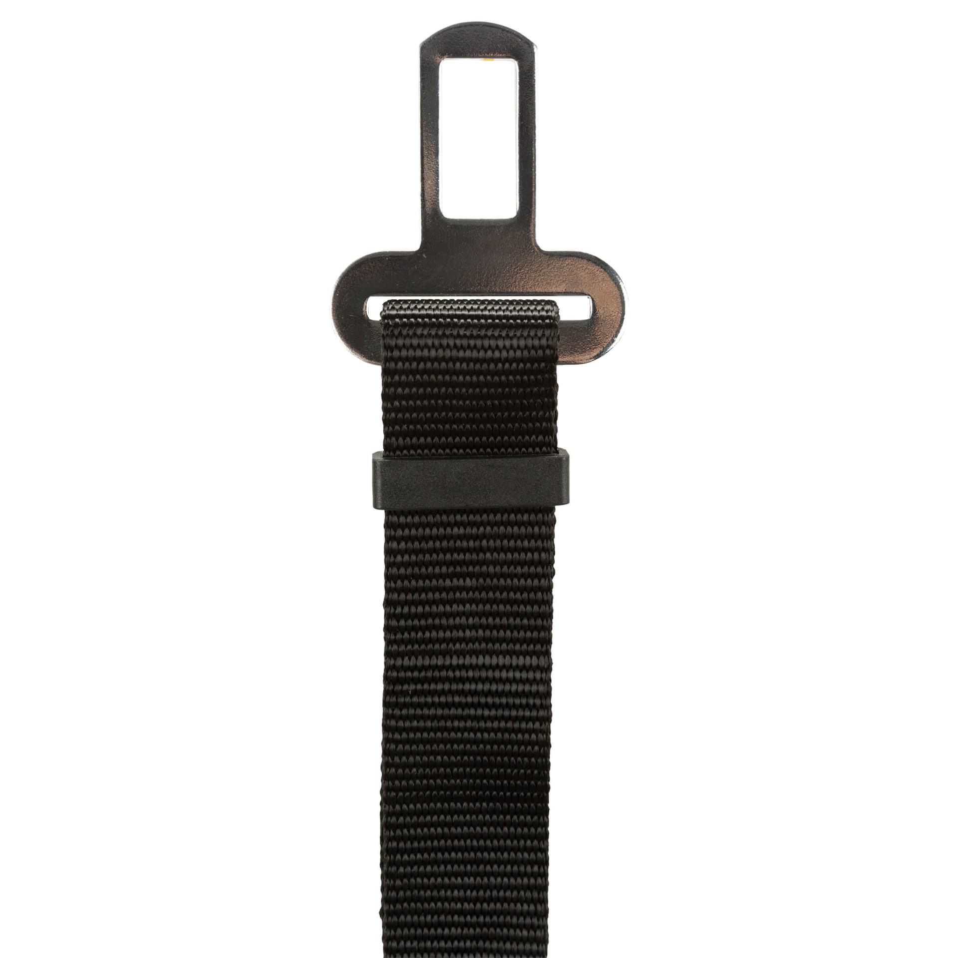 Ceinture de sécurité pour chiens