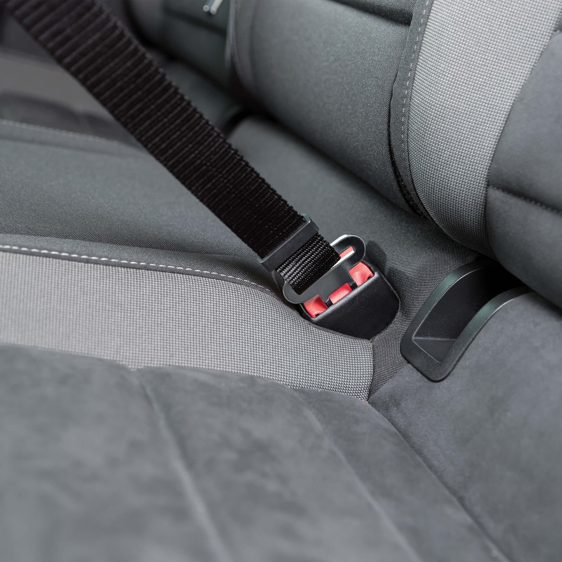 Ceinture de sécurité pour chiens