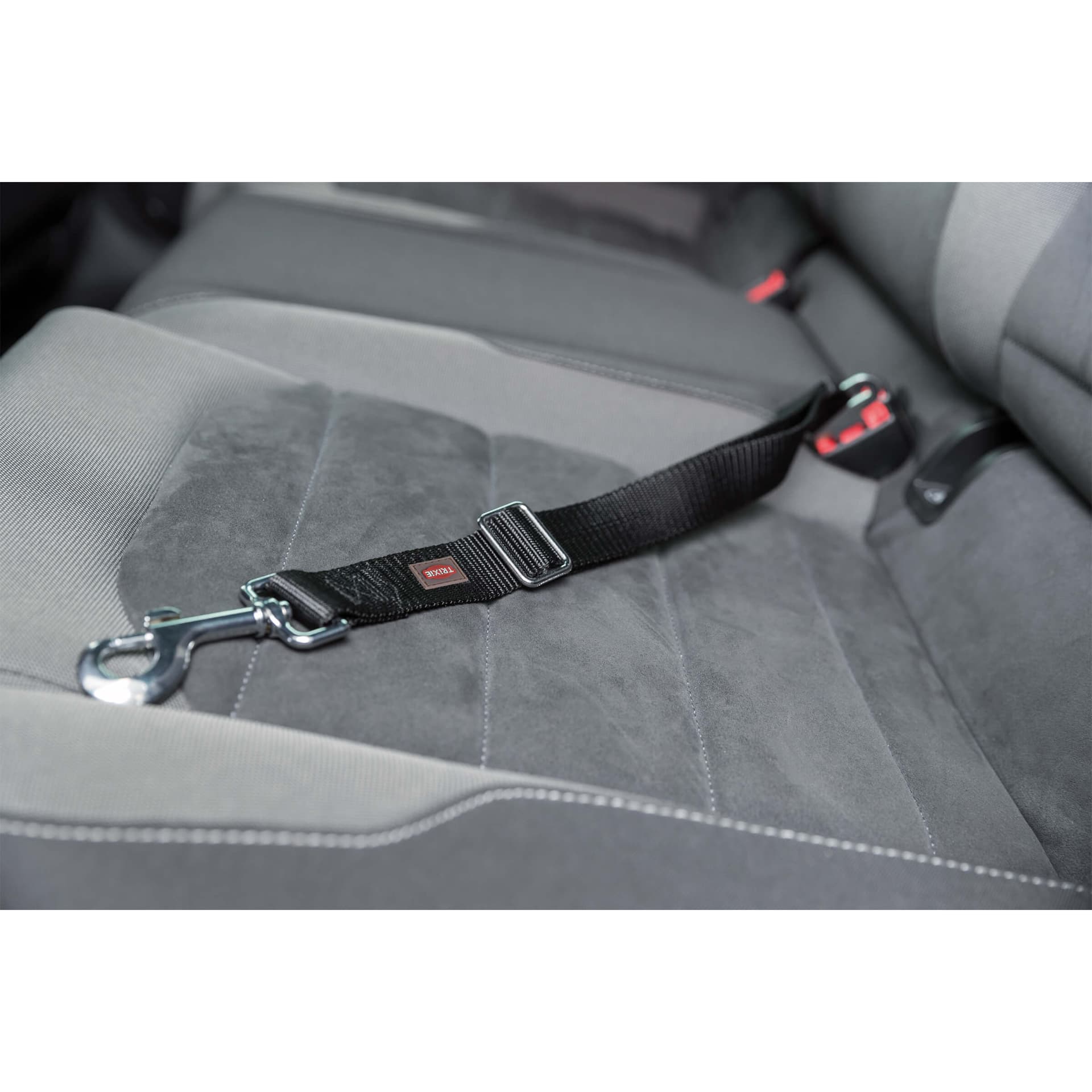 Ceinture de sécurité pour chiens