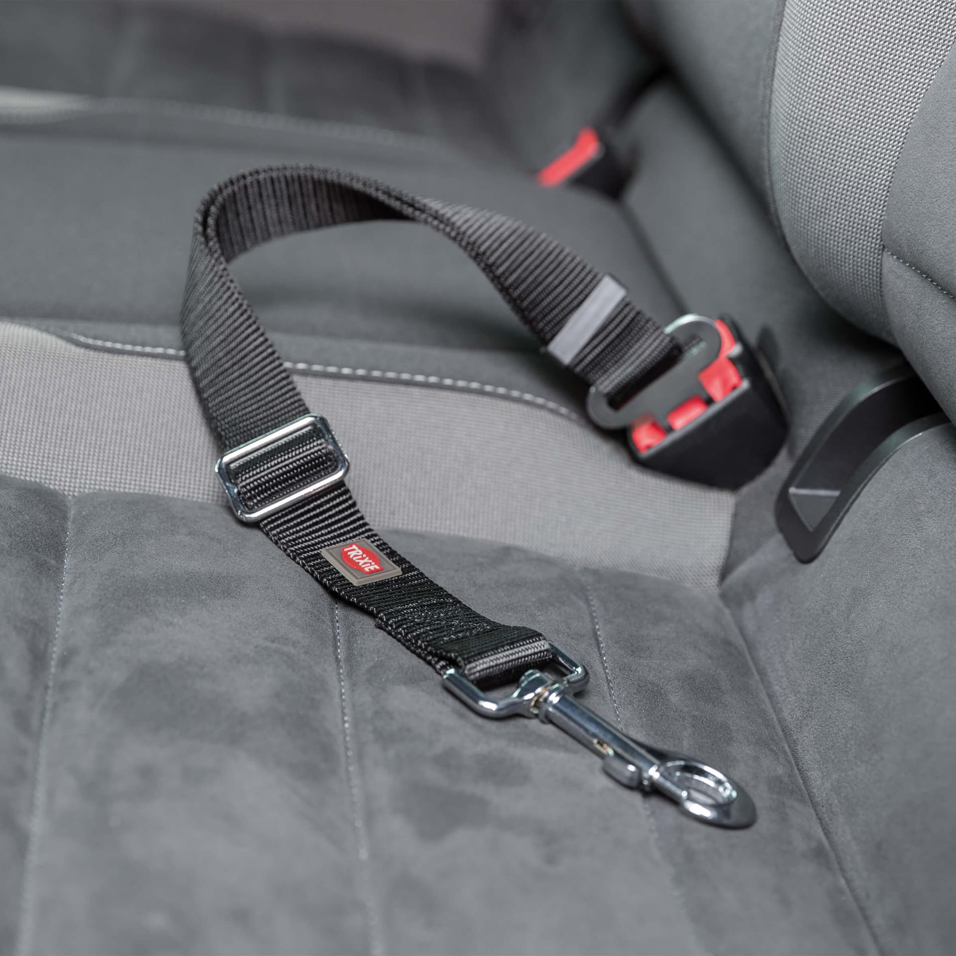 Ceinture de sécurité pour chiens