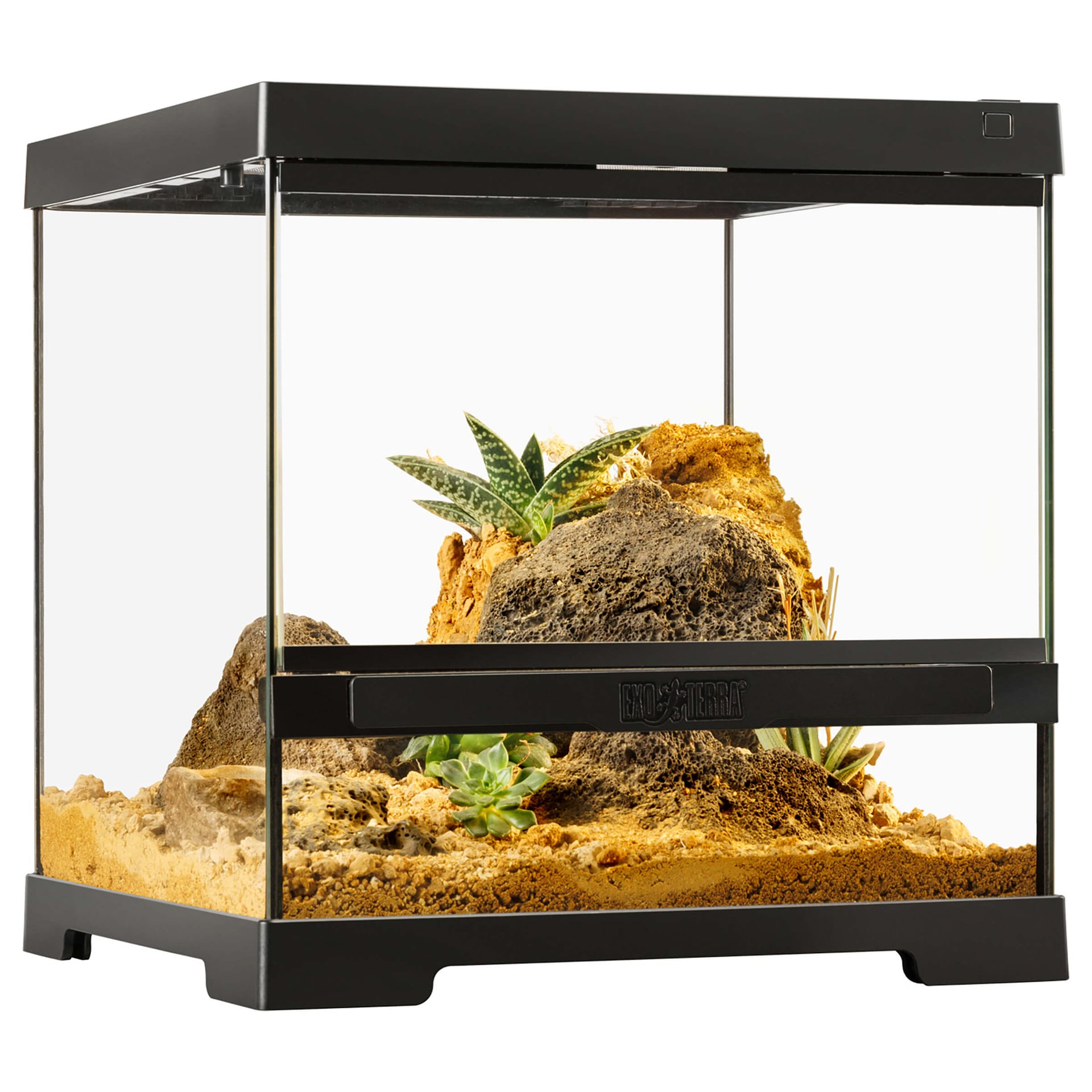 Terrarium Pro