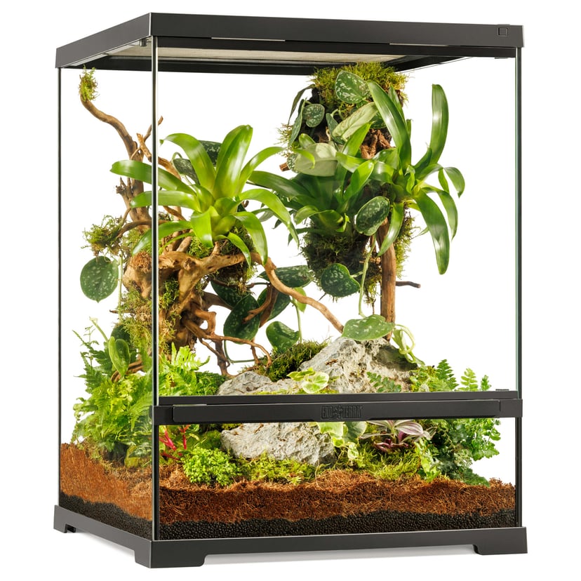 Terrarium Pro