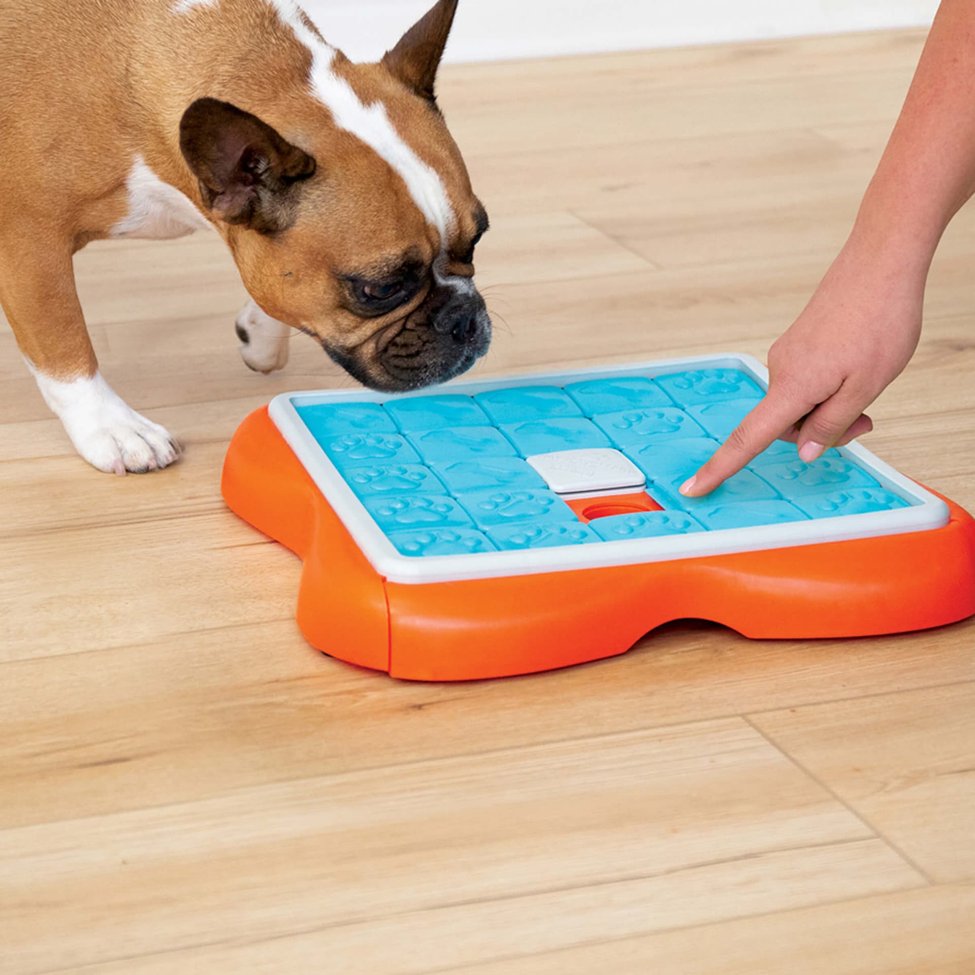 Jouet éducatif Dog Challenge Slider