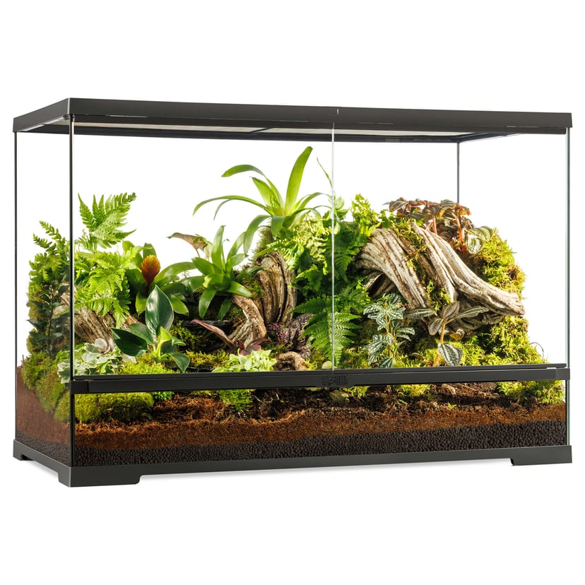 Terrarium Pro