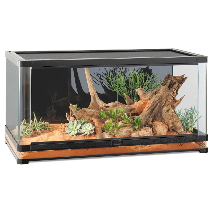 Terrarium Vista