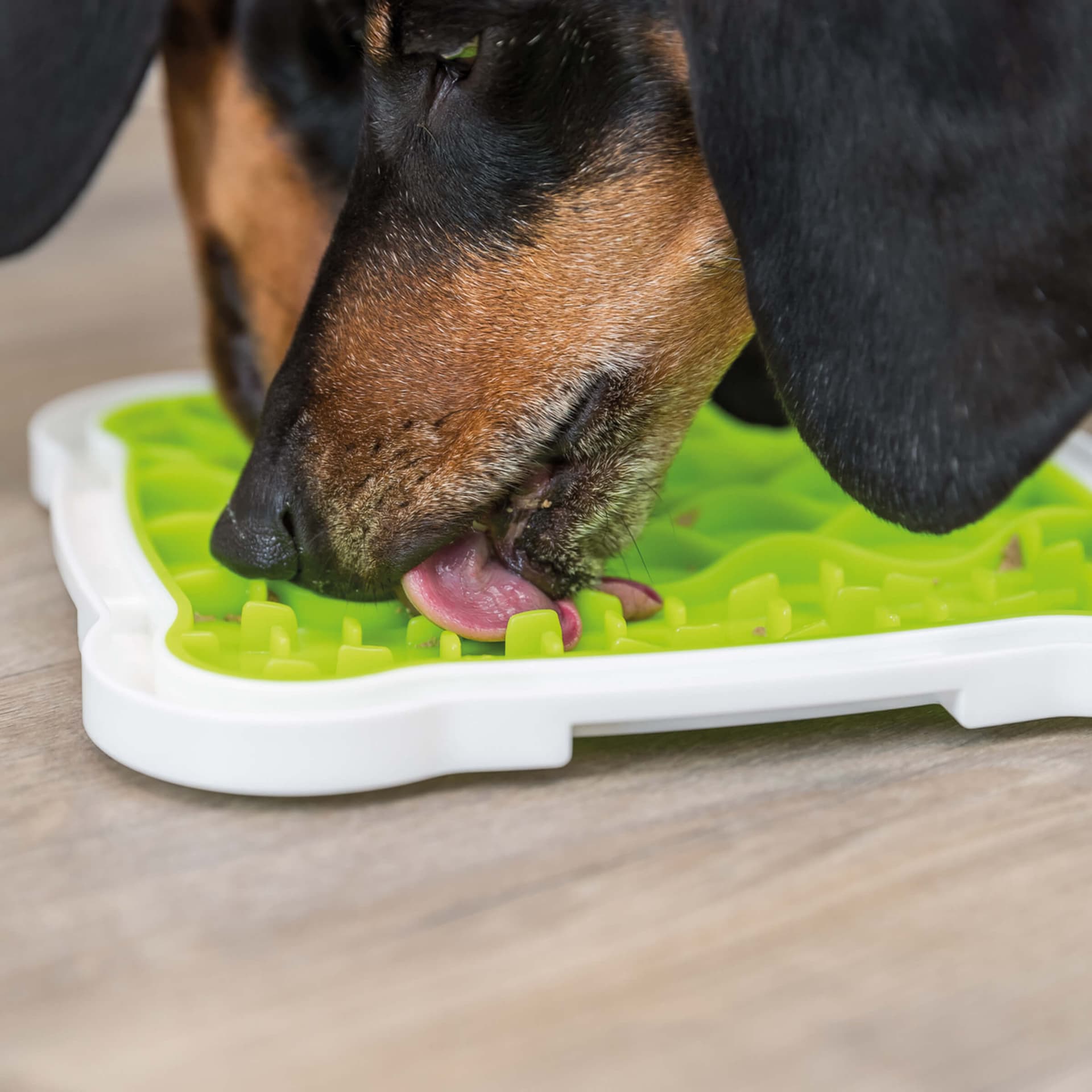 LicknSnack Assiette