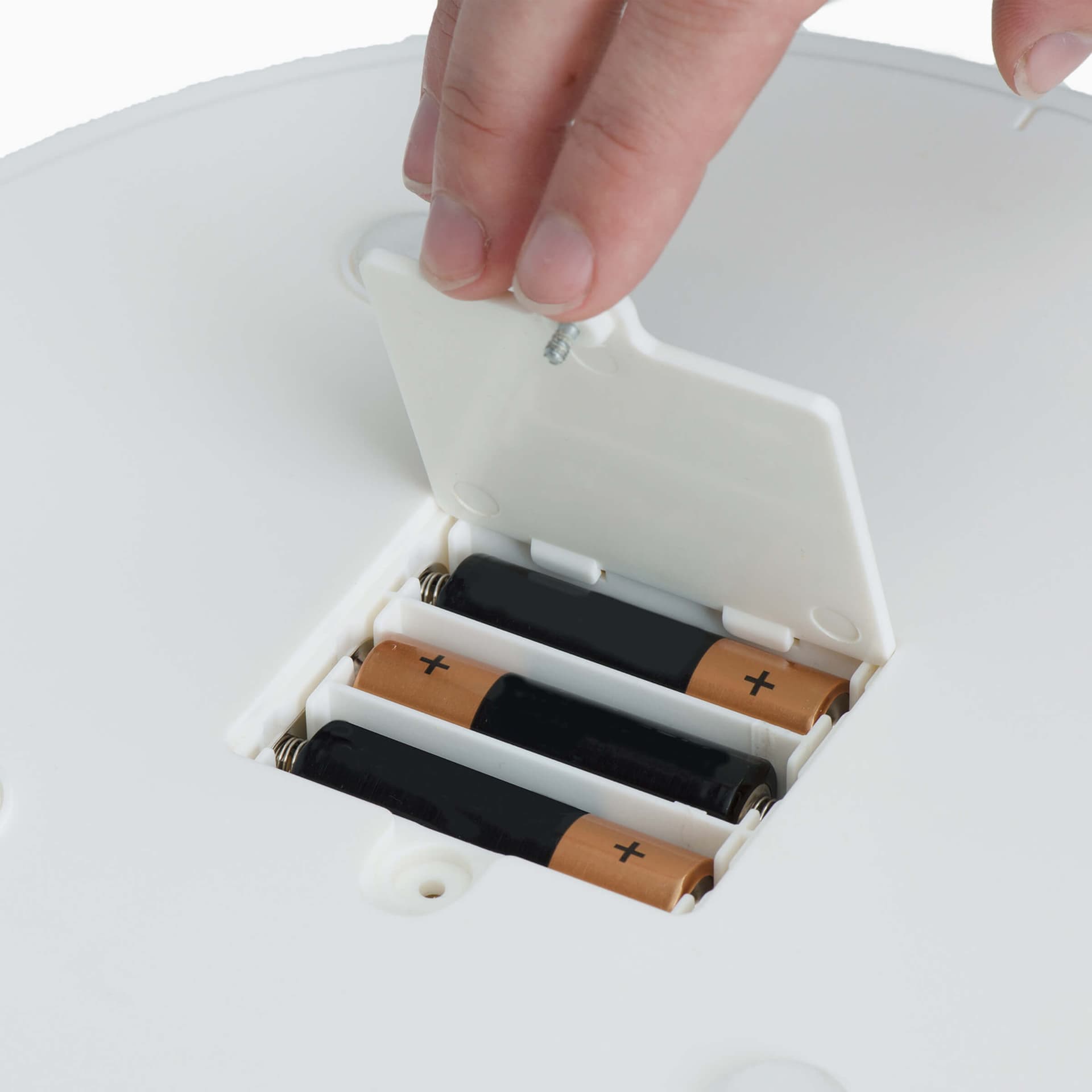 Senses 2.0 Fliegenpilz