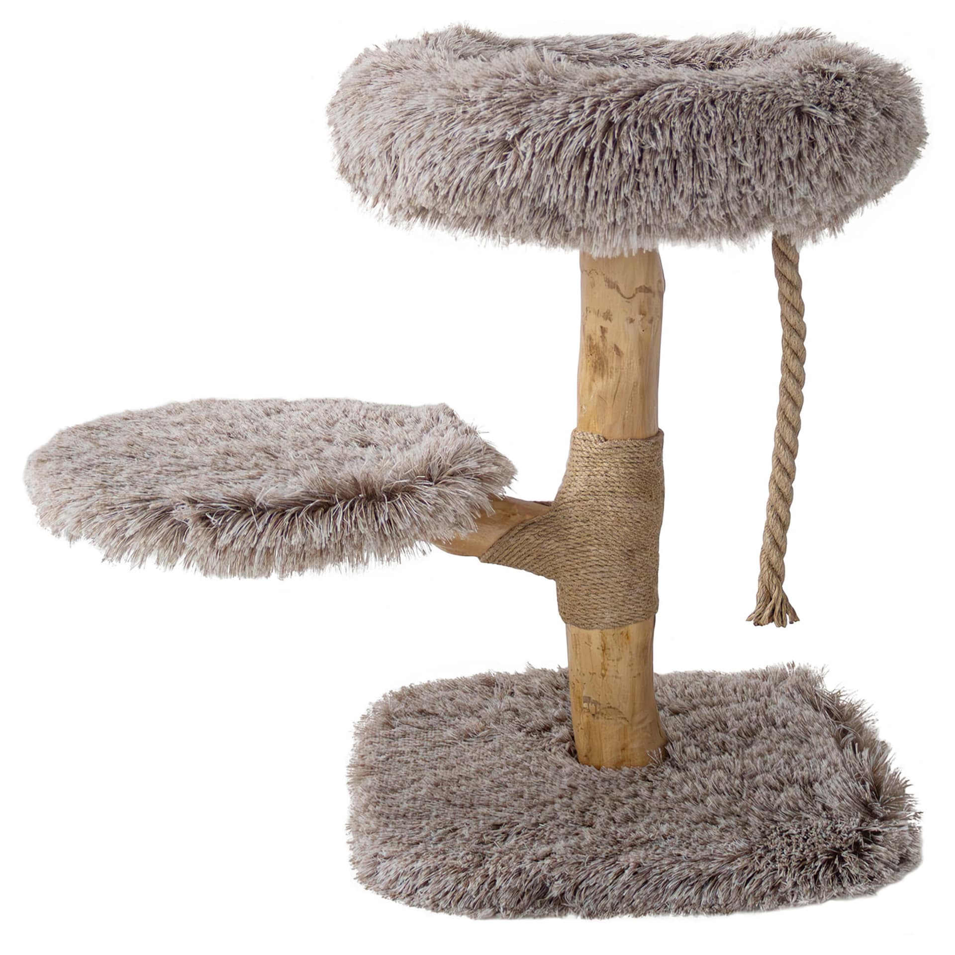 Kratzbaum Michel 70