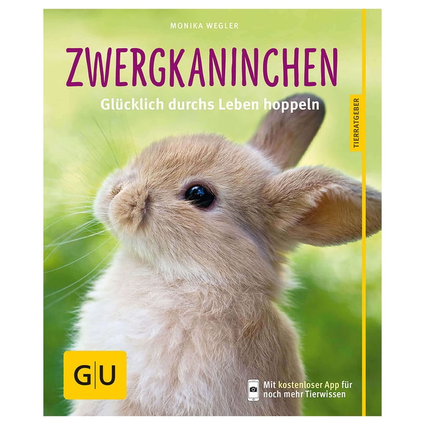 Zwergkaninchen