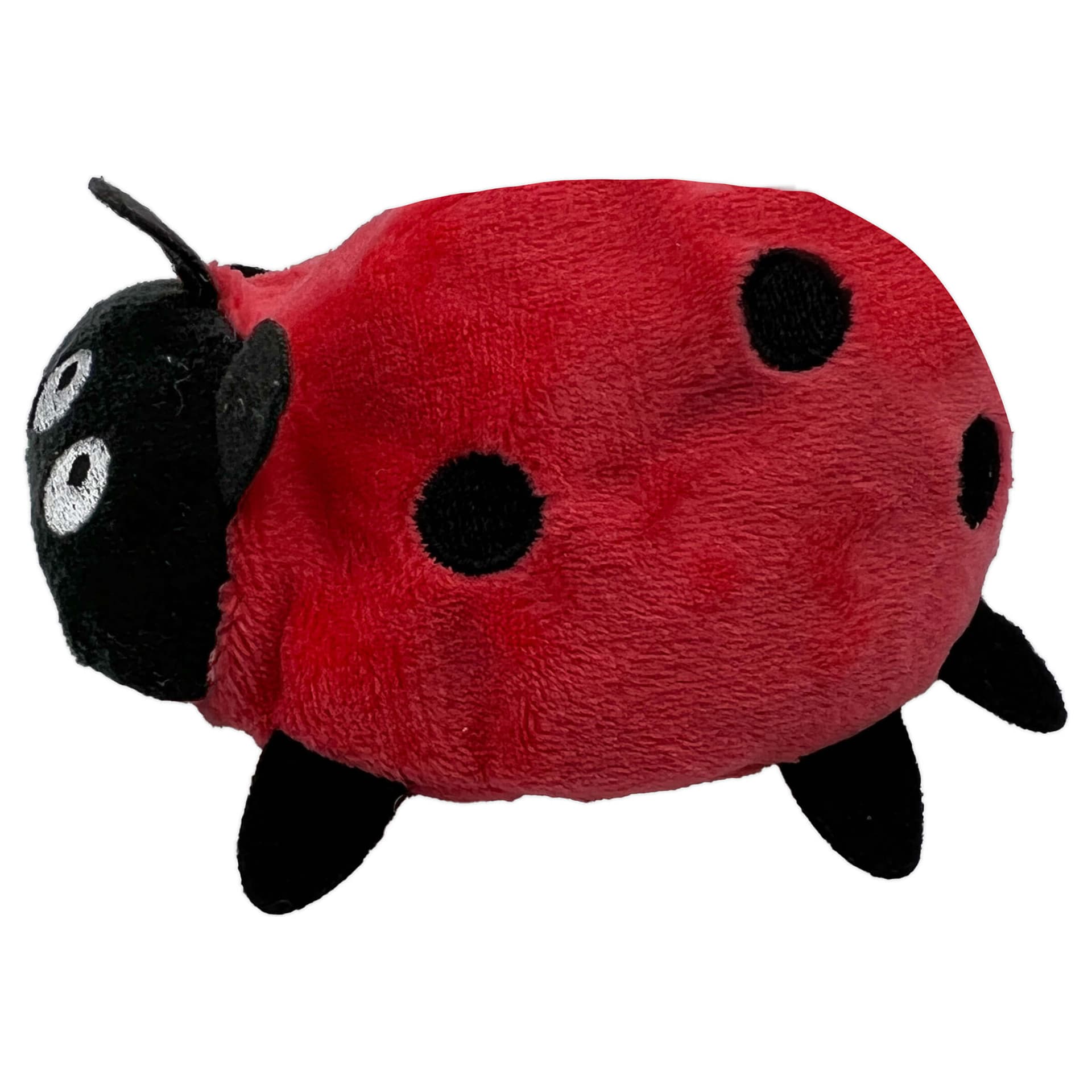 Marienkäfer Dotty