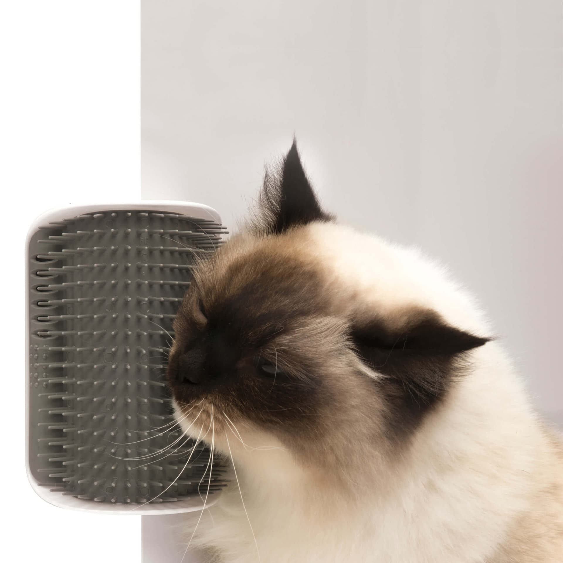 Senses 2.0 Self Groomer coin massage avec herbe à chat
