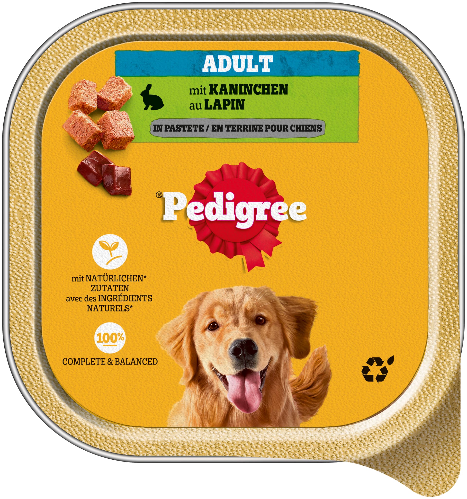 Adulte au lapi