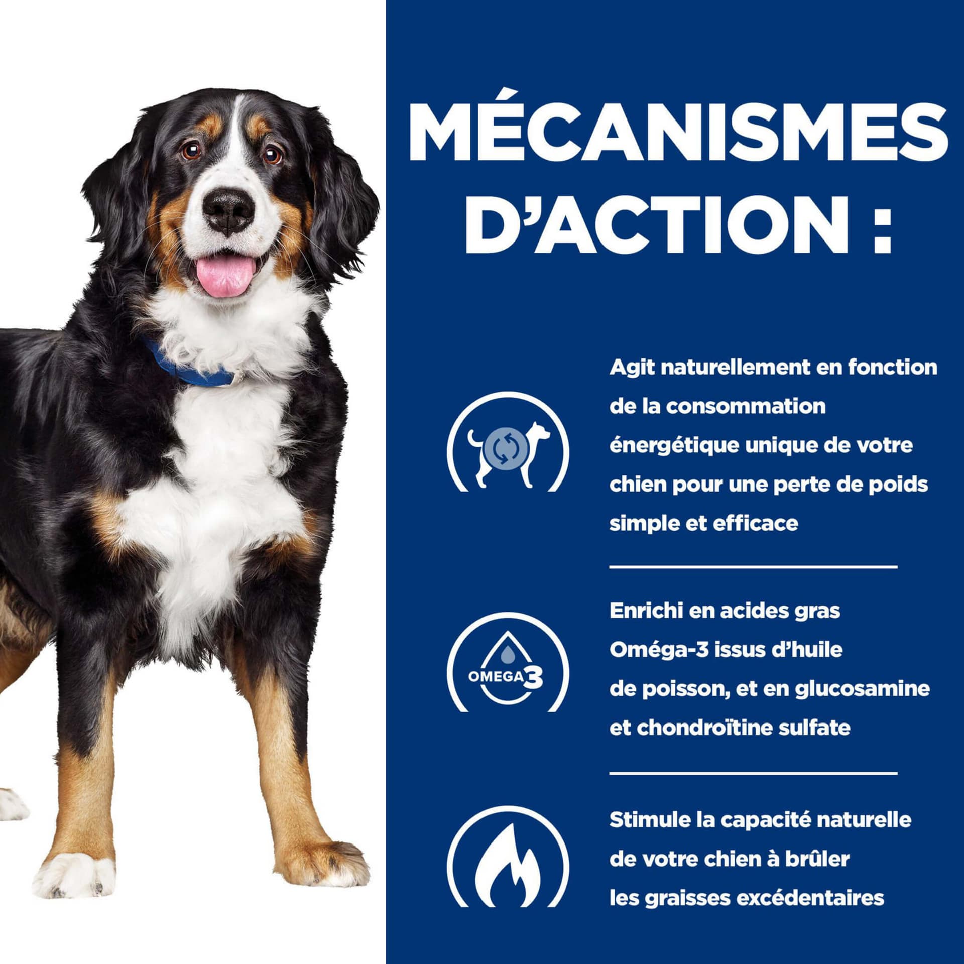 Prescription Diet Canine Metabolic & Mobility