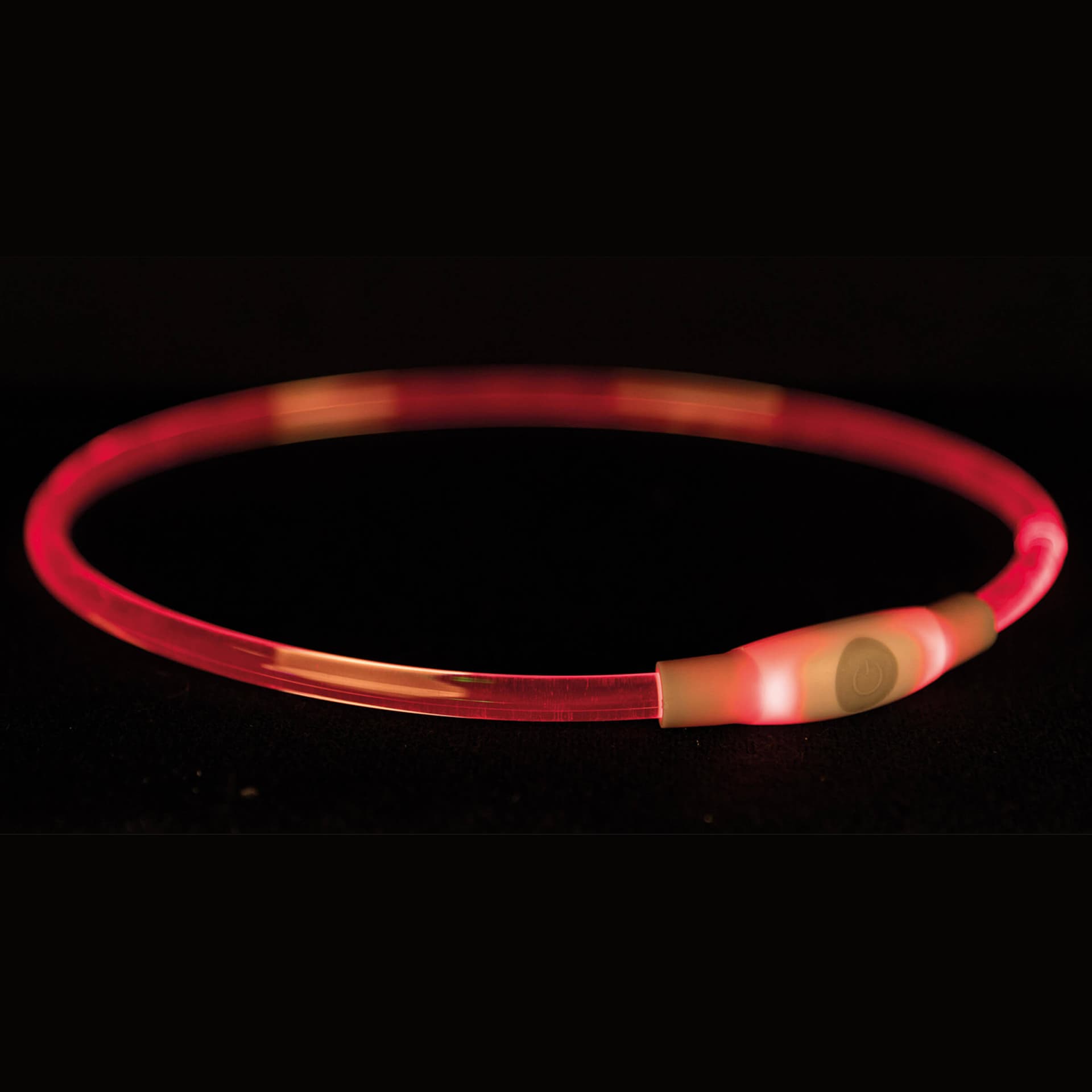 Collier lumineux pour chien SL Flash USB