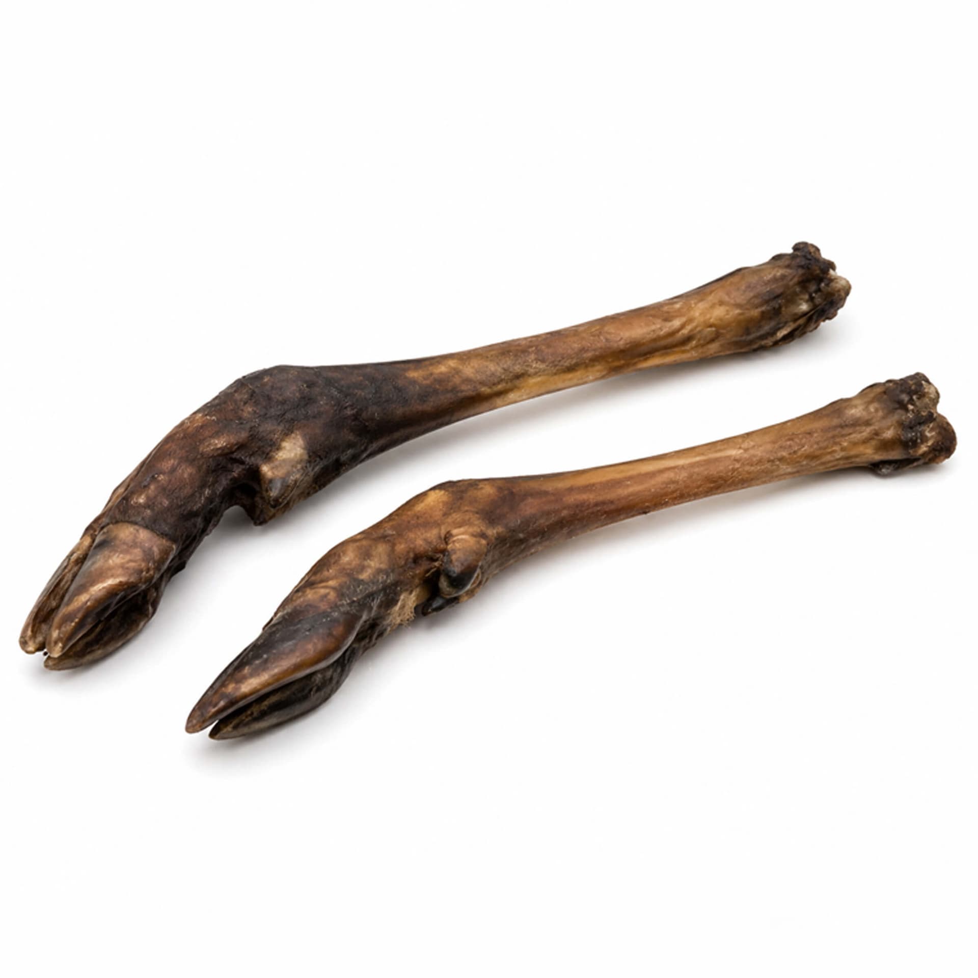 Hundesnack Rehbeine