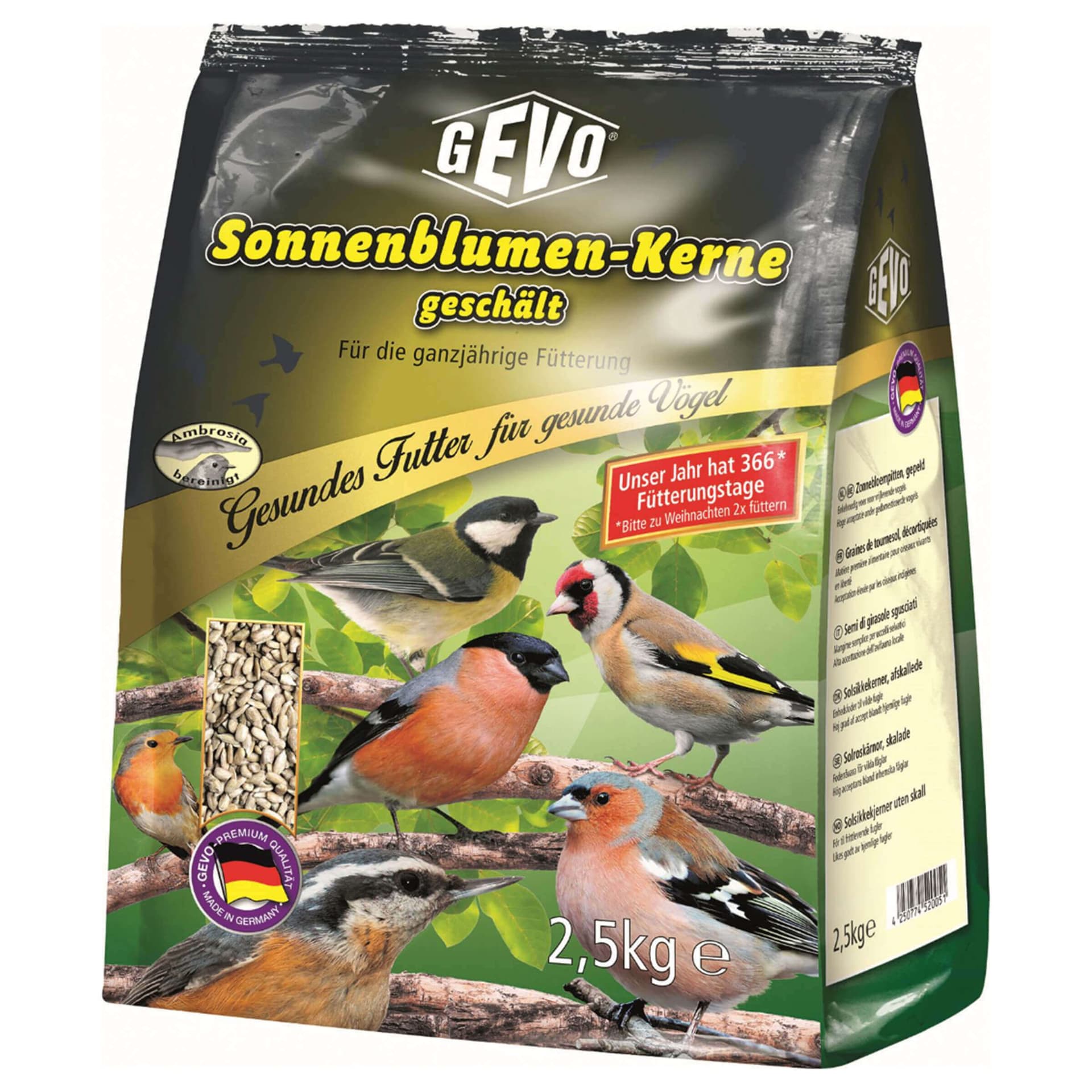 Graines de tournesol pour oiseaux sauvages