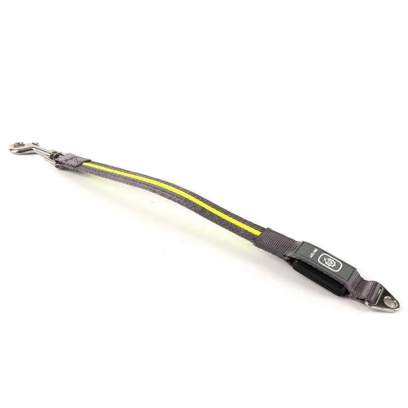 Extension pour laisse lumineuse