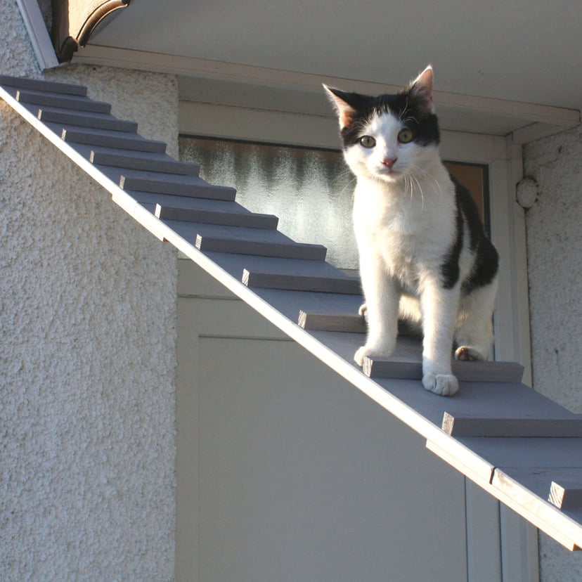 Escalier pour chats gris résistant aux intempéries