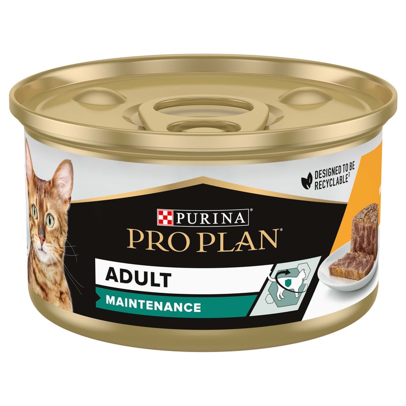 Adult Maintenance Poulet Terrine