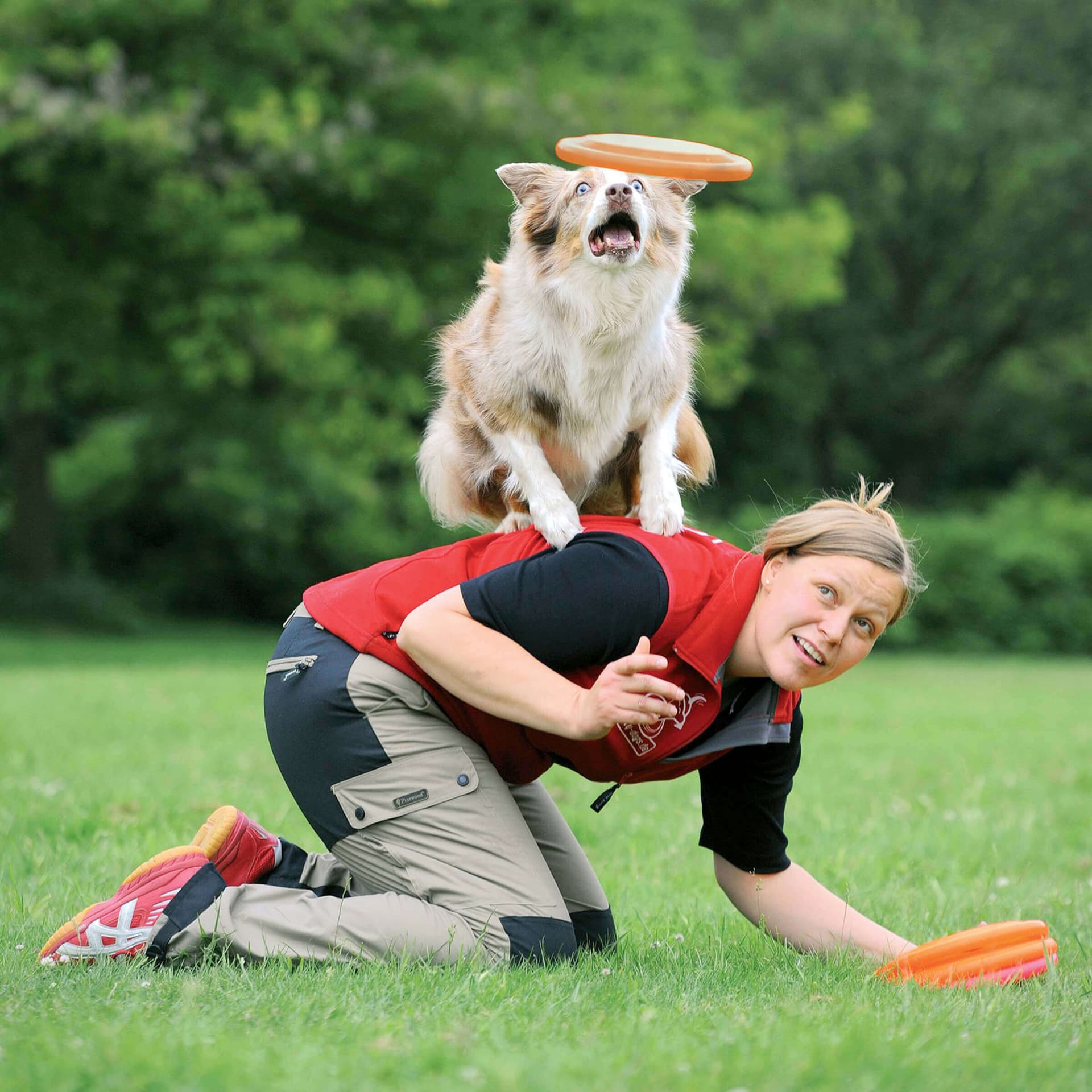 Dog Activity Dog Disc