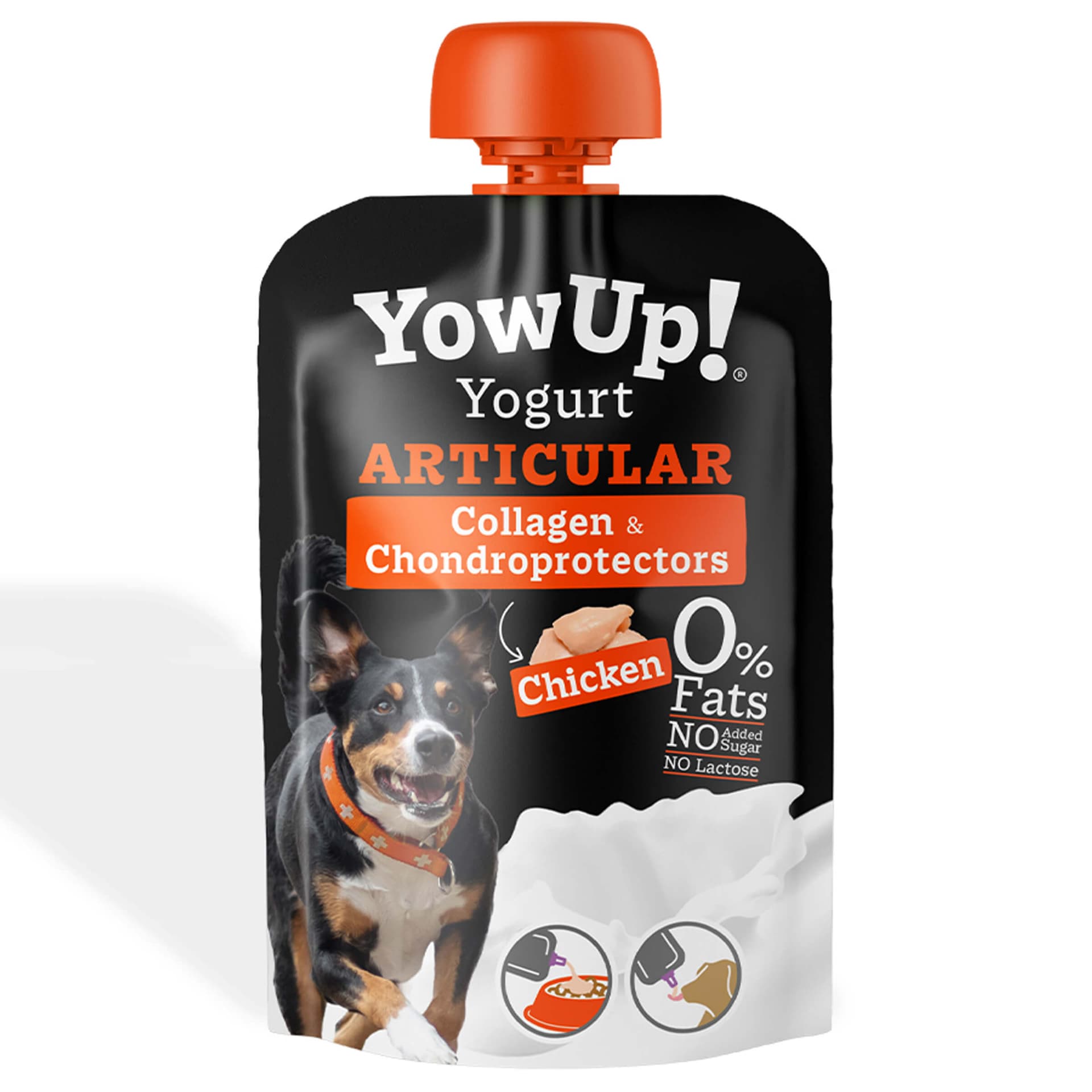 Hunde Joghurt Fit & Vital