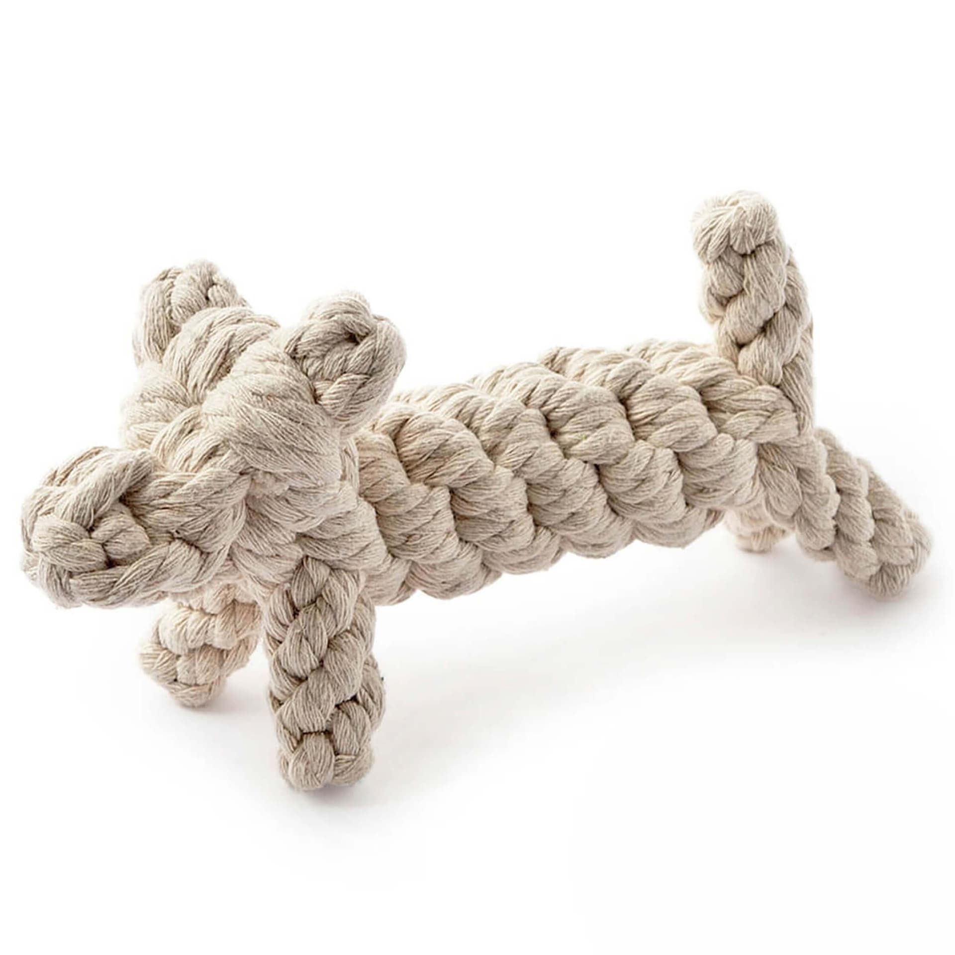 Rope chien en noeuds