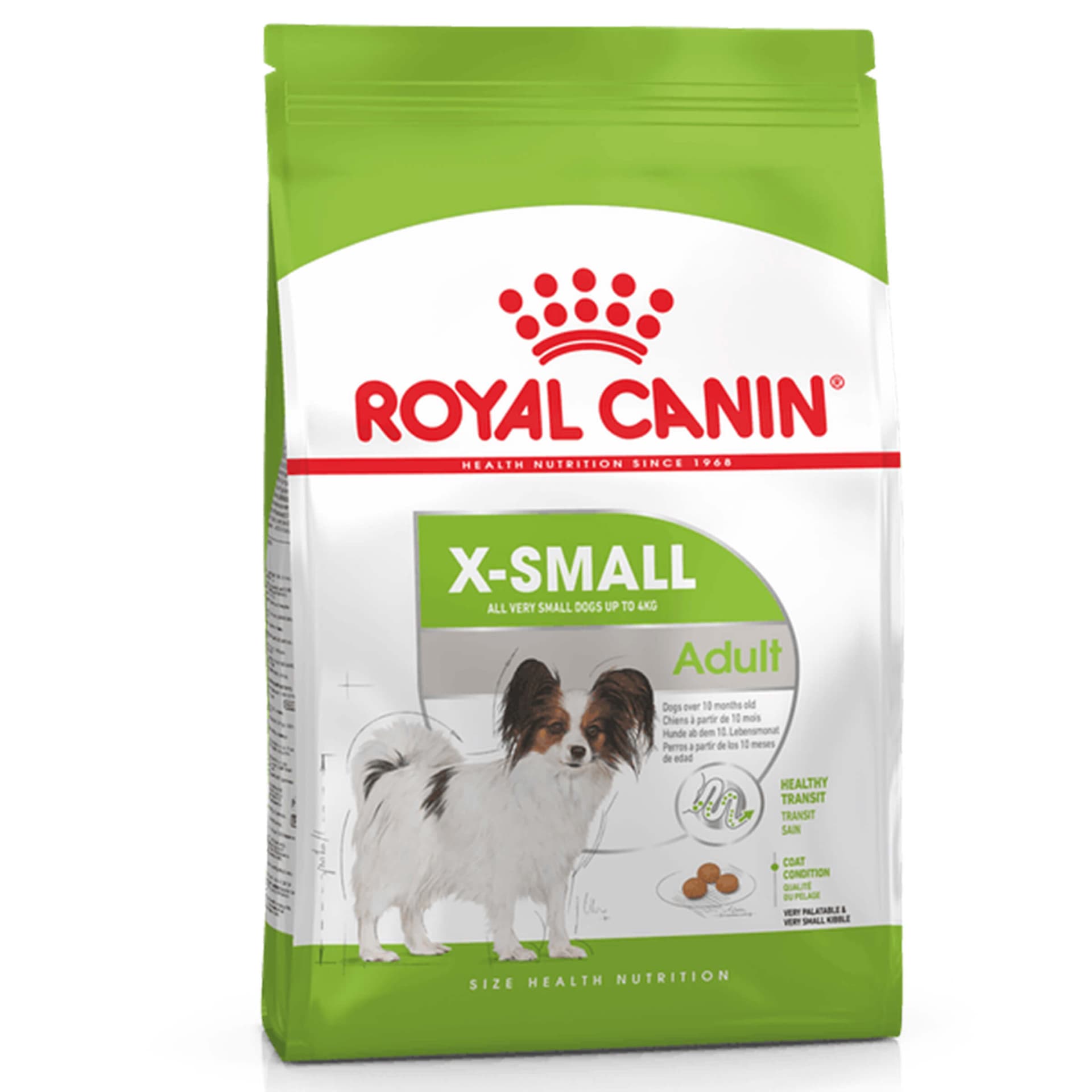 X-Small Adult