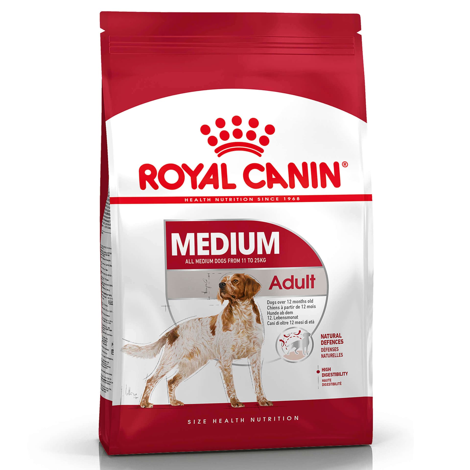 Medium Adult