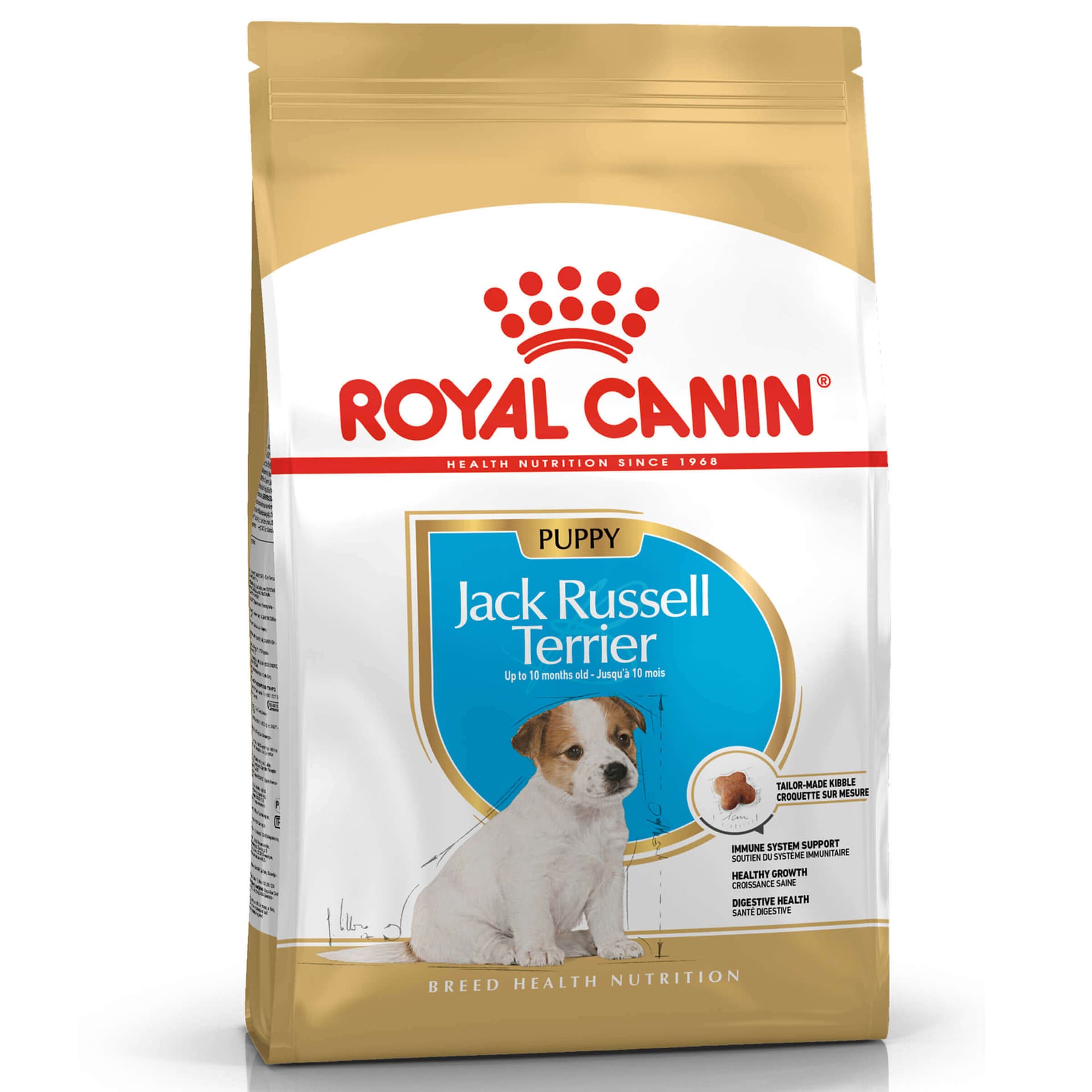 Jack Russell Puppy 1.5kg