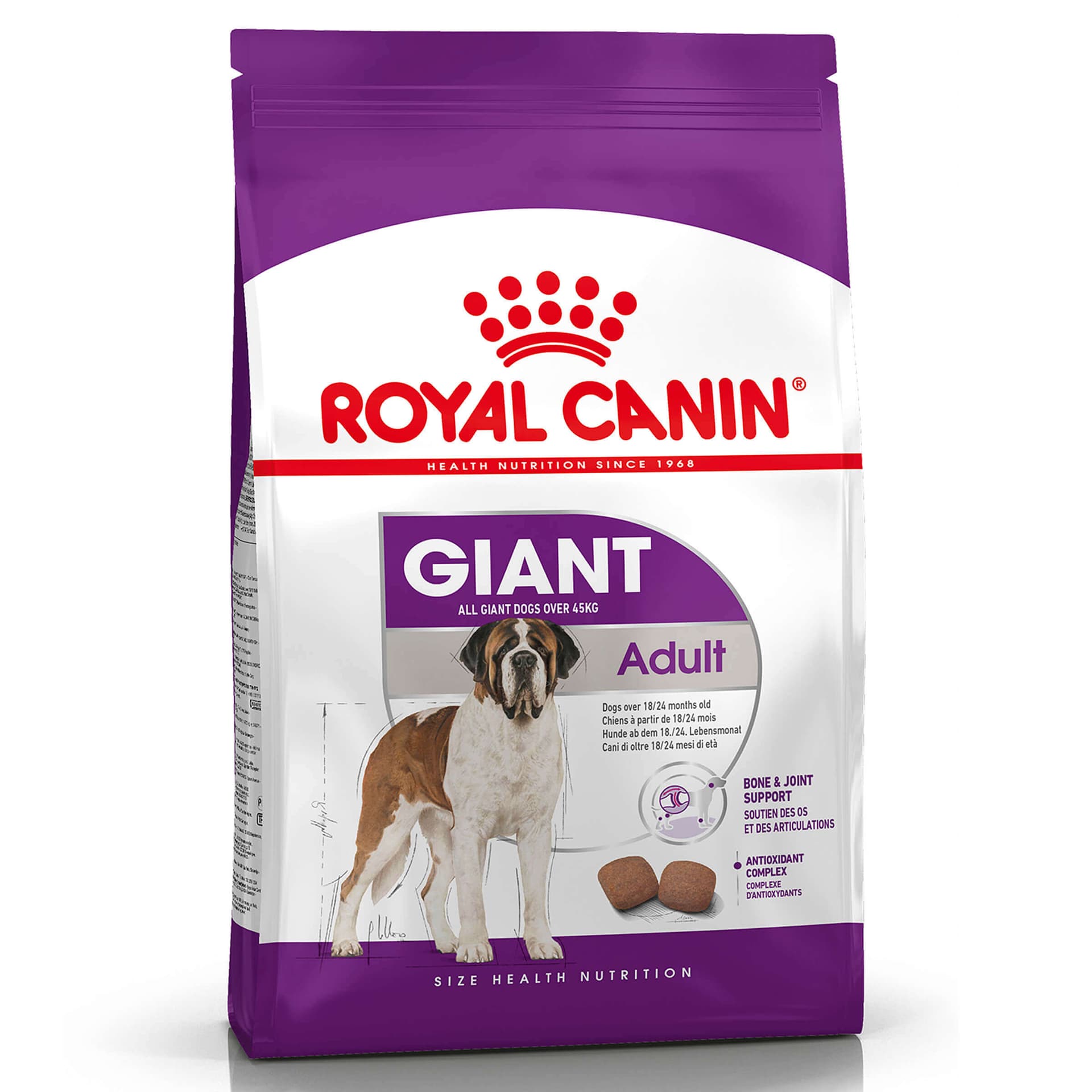 Giant Adult