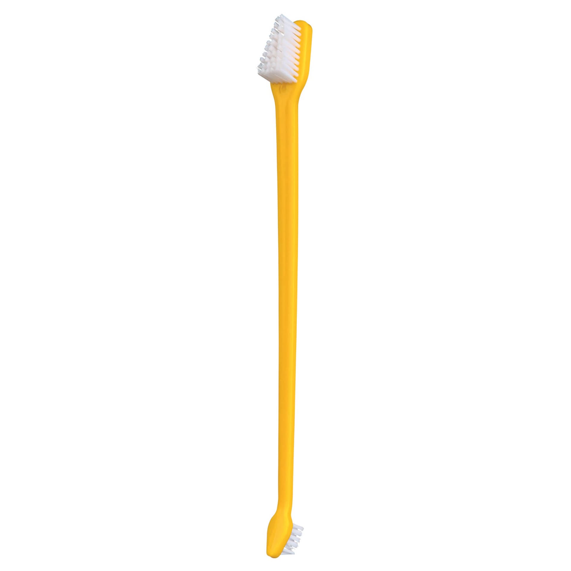 Set de brosses à dents