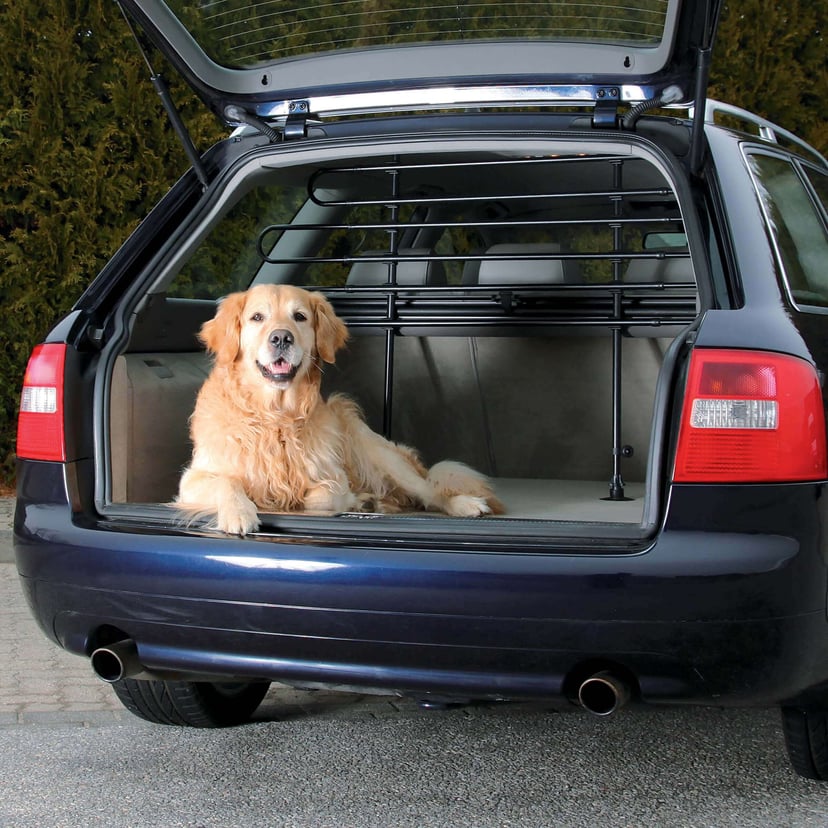 Auto Gitter