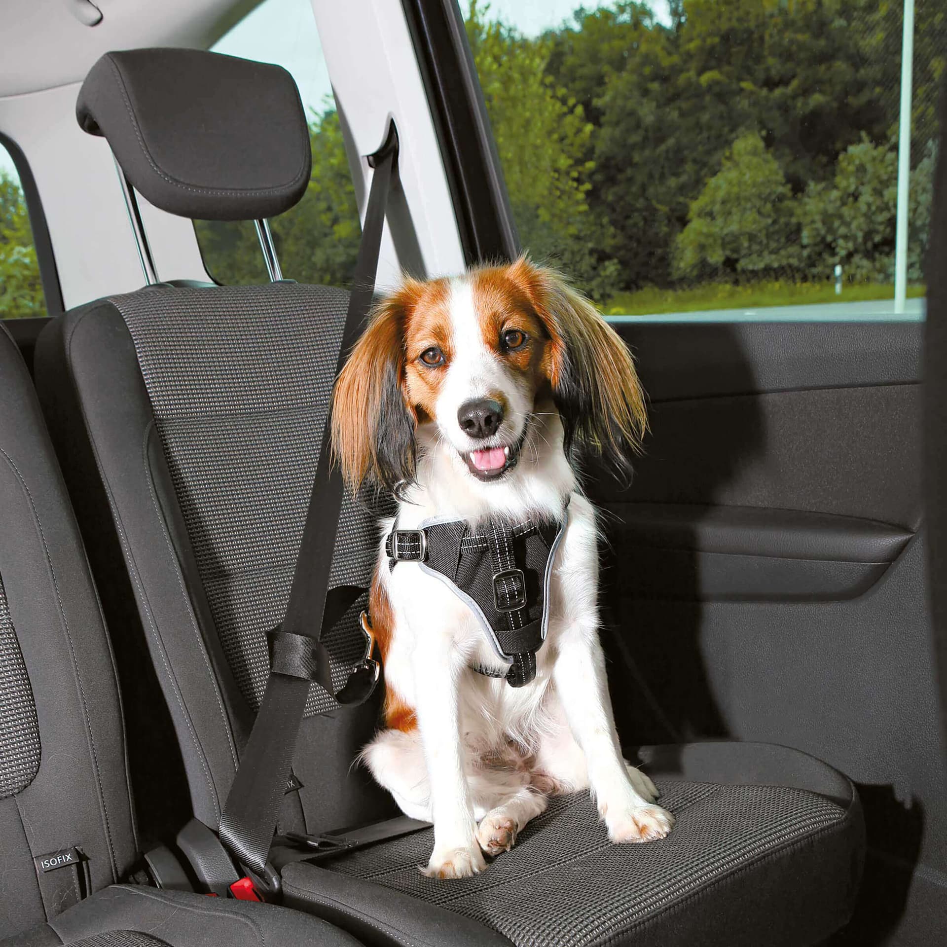 Auto-Hundegeschirr Dog Comfort