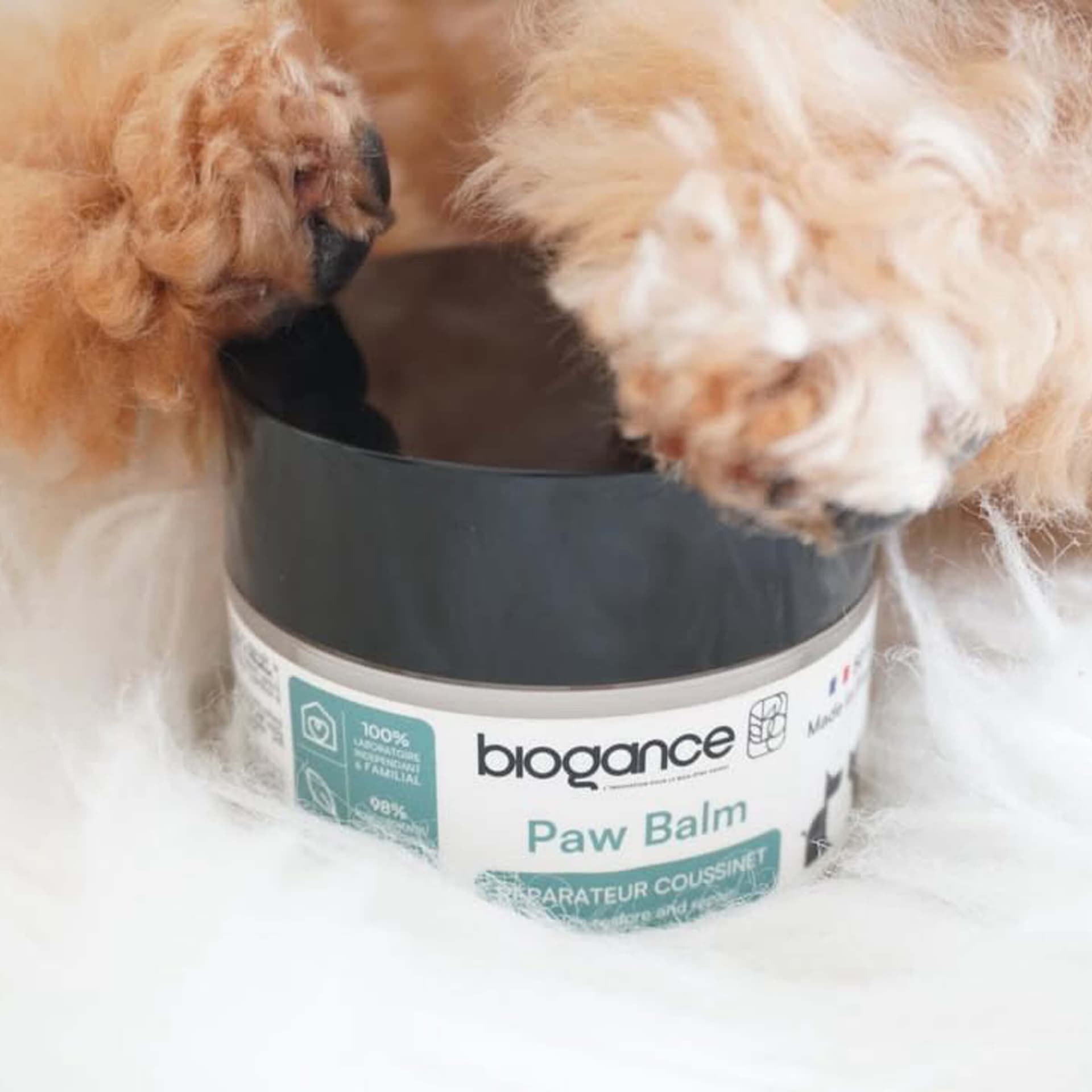 Baume pour pattes de chiens