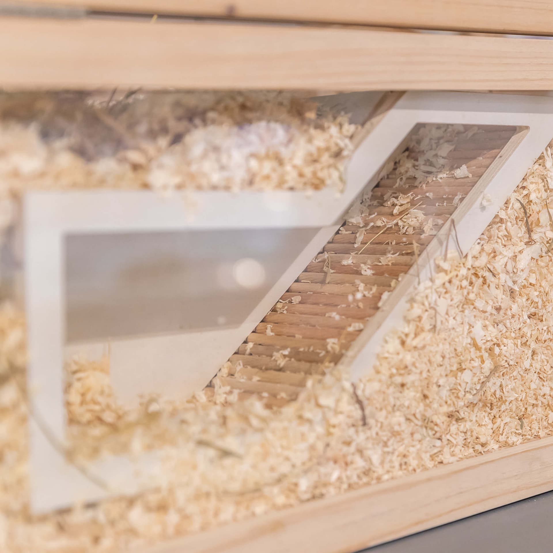 Watchbox mit Tunnel