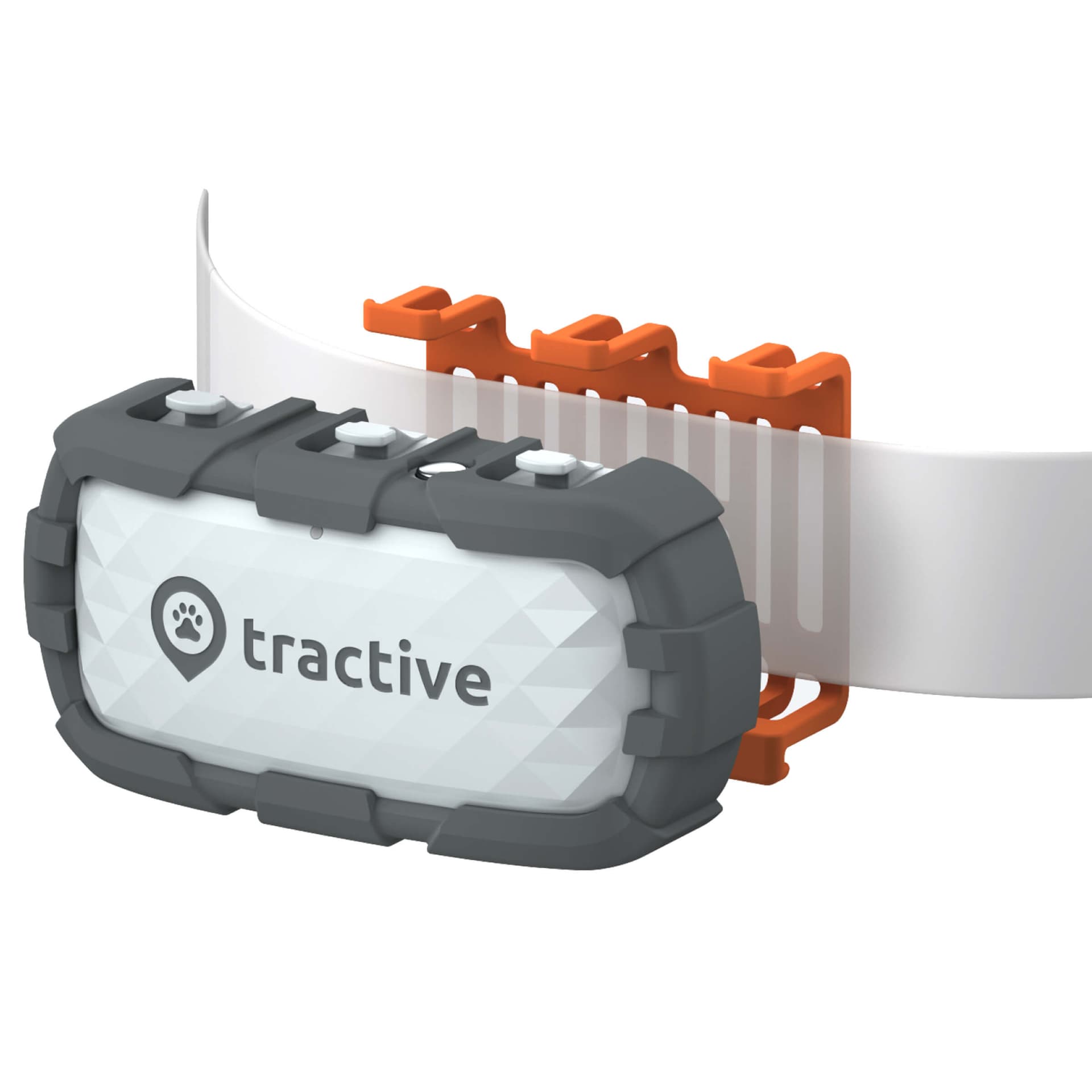 GPS Tracker DOG XL
