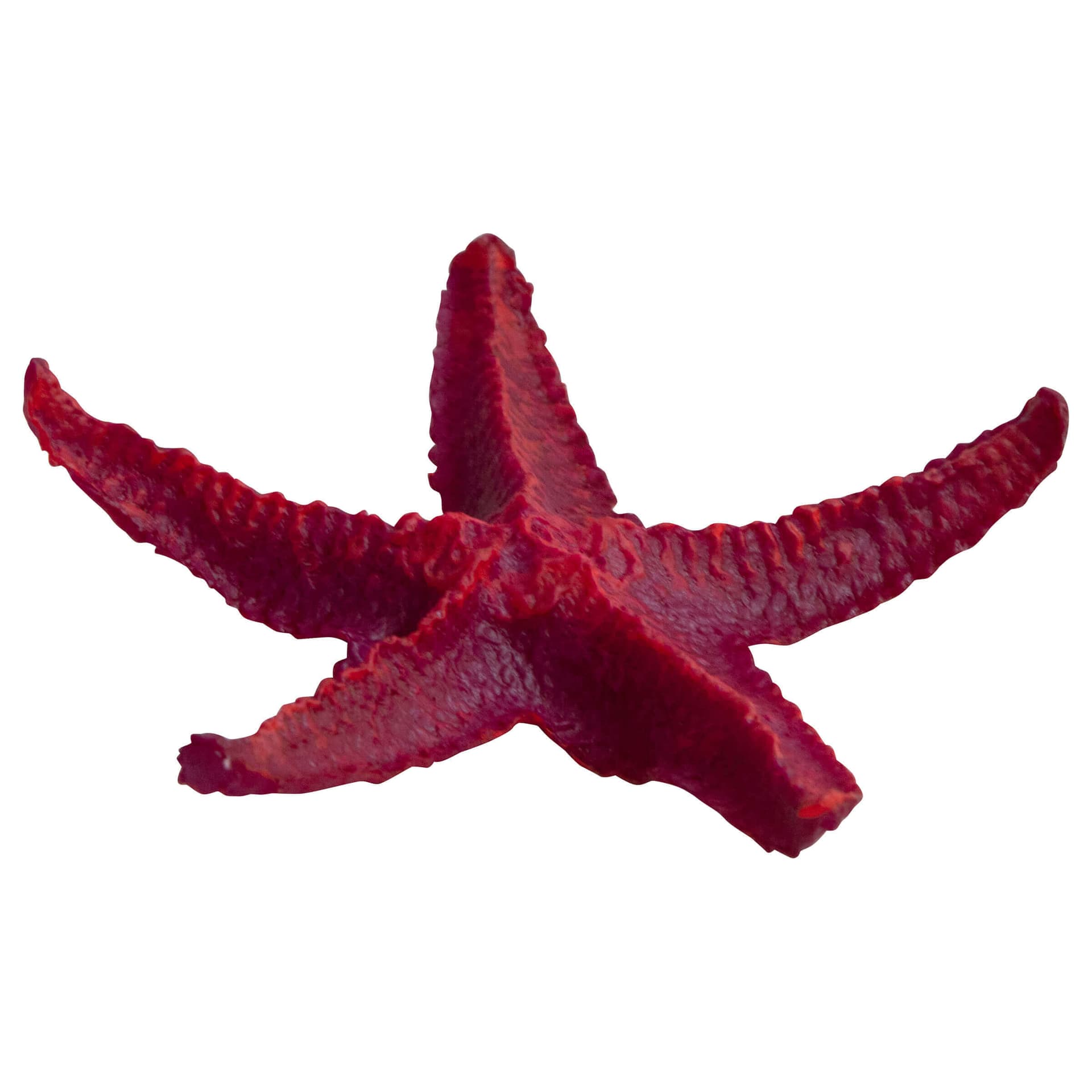 Décoration d'aquarium Star Fish
