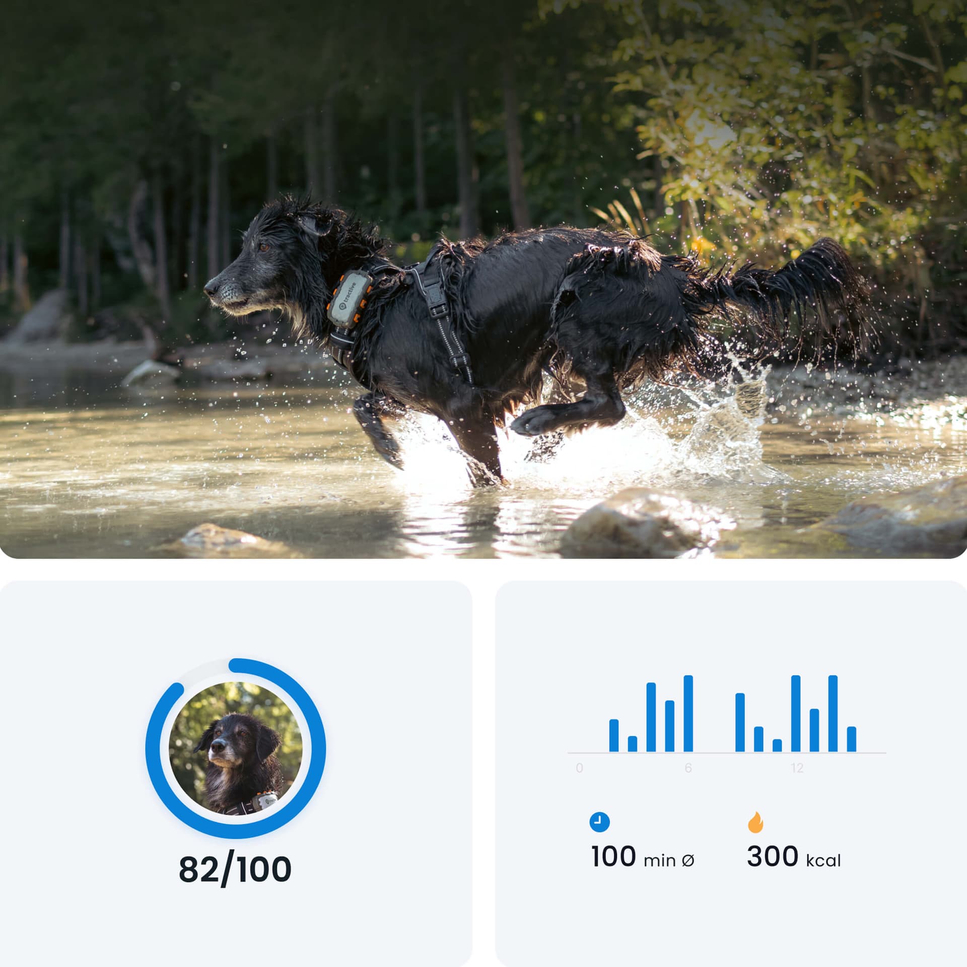 GPS Tracker DOG XL