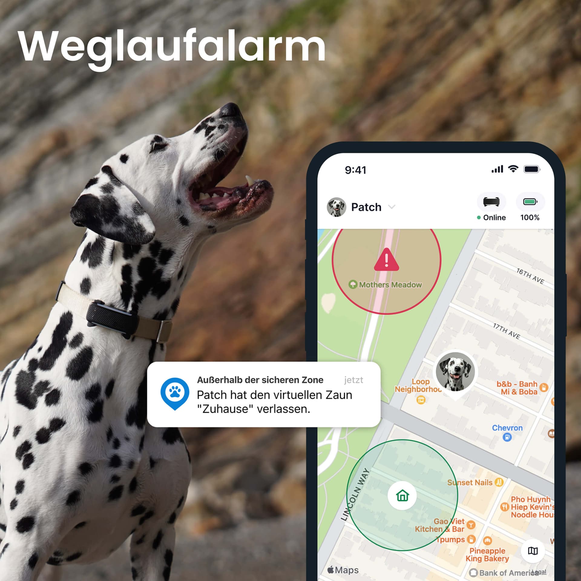 GPS Tracker DOG 6