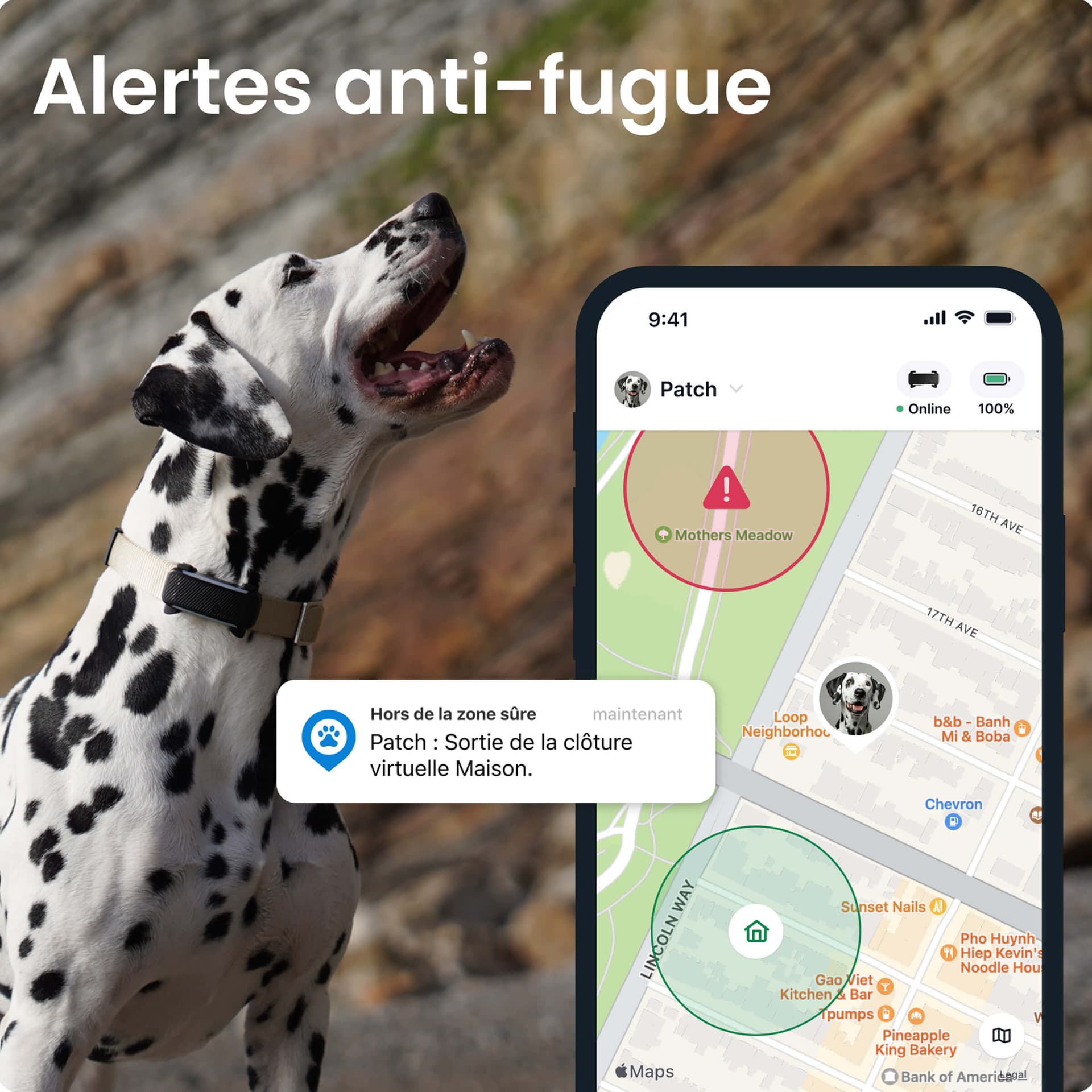 GPS Tracker DOG 6
