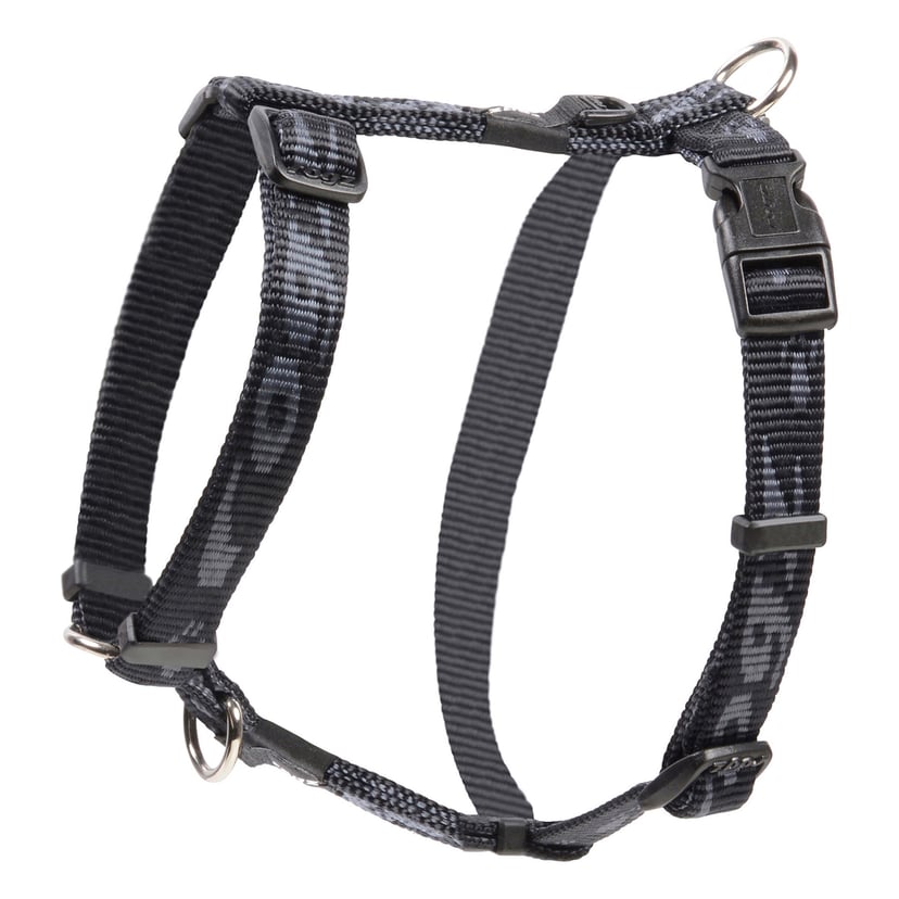 Alpinist Everest