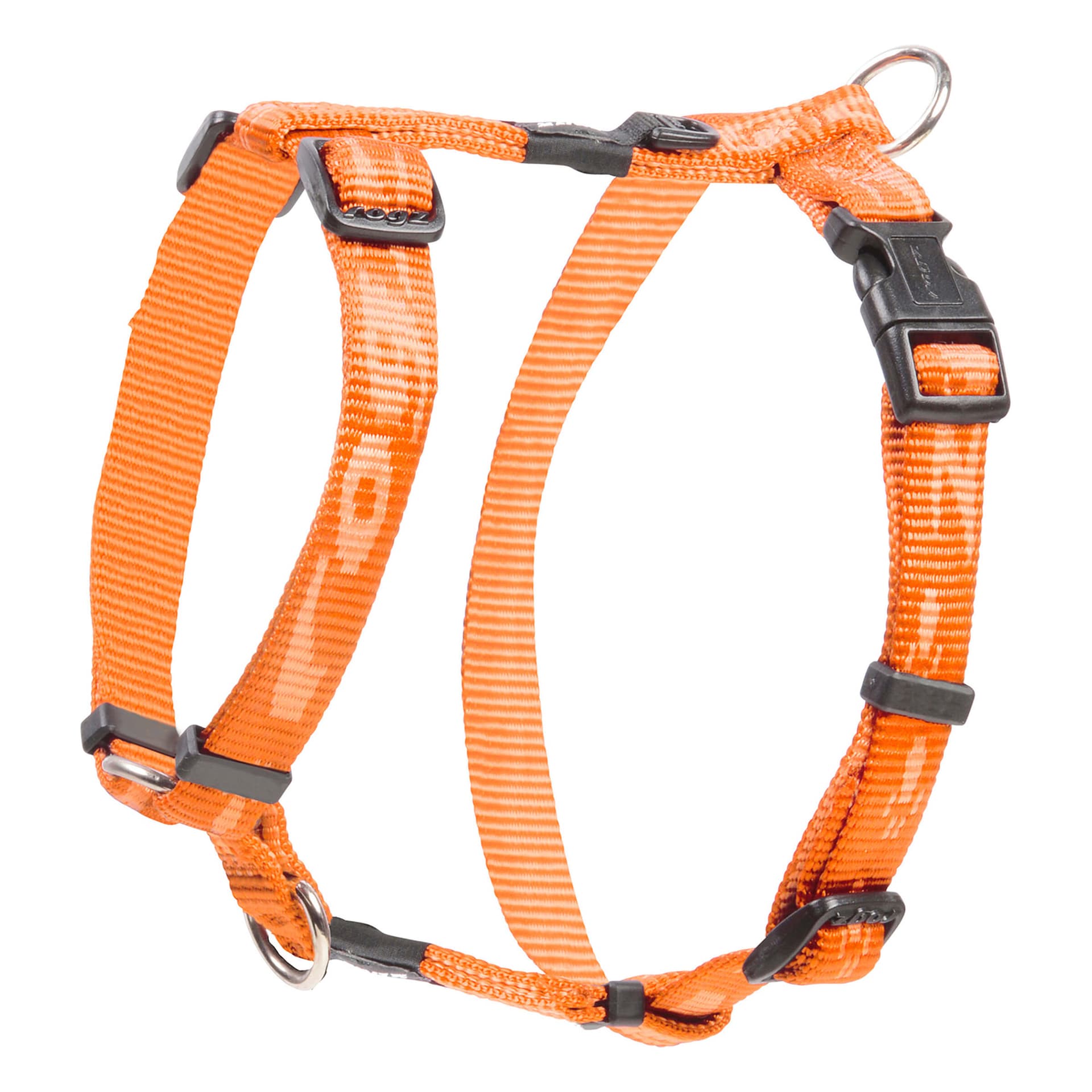Alpinist K2