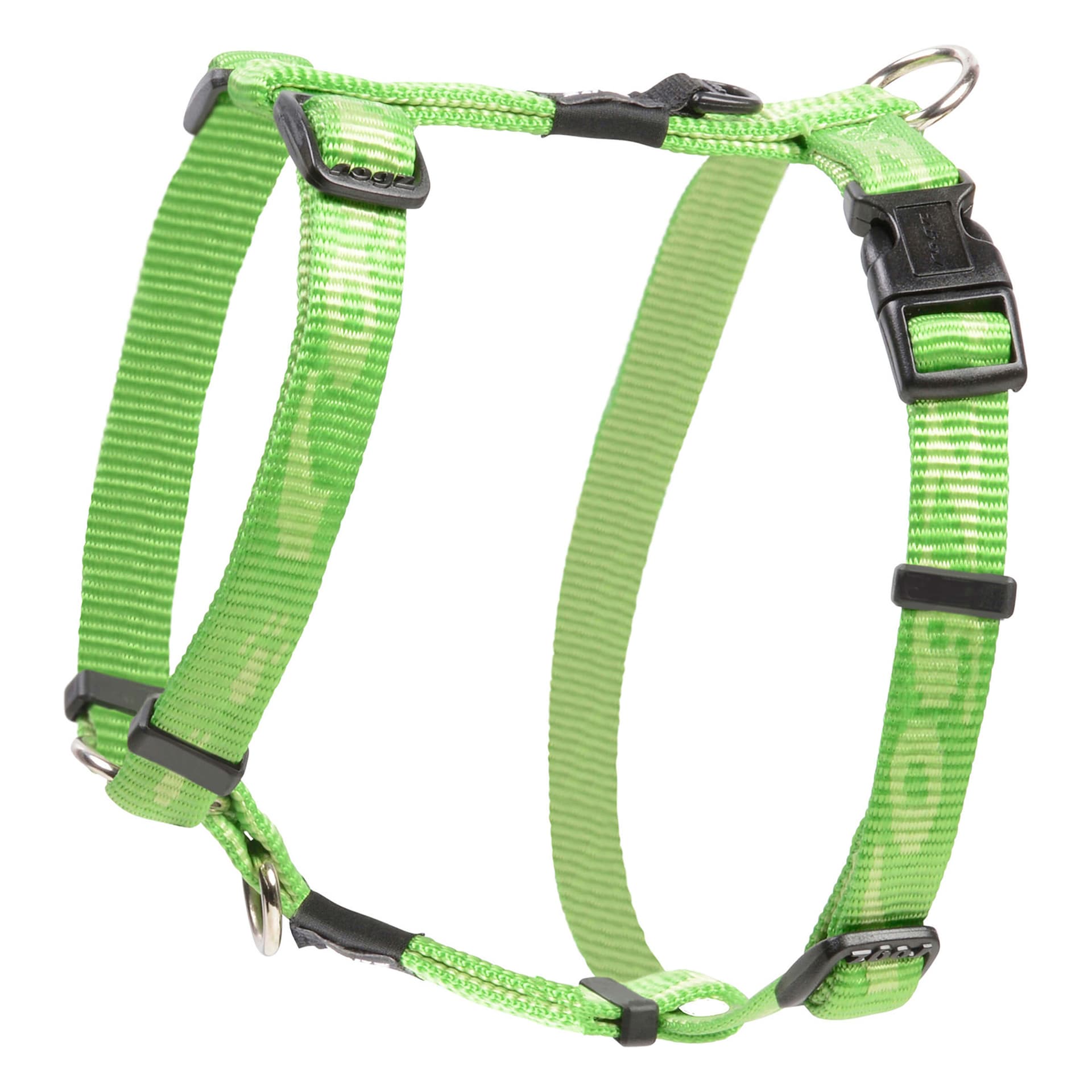 Alpinist Kilimanjaro