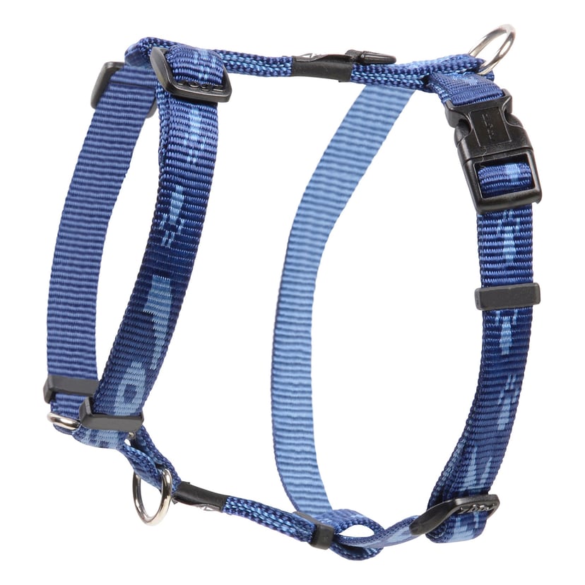 Alpinist Kilimanjaro