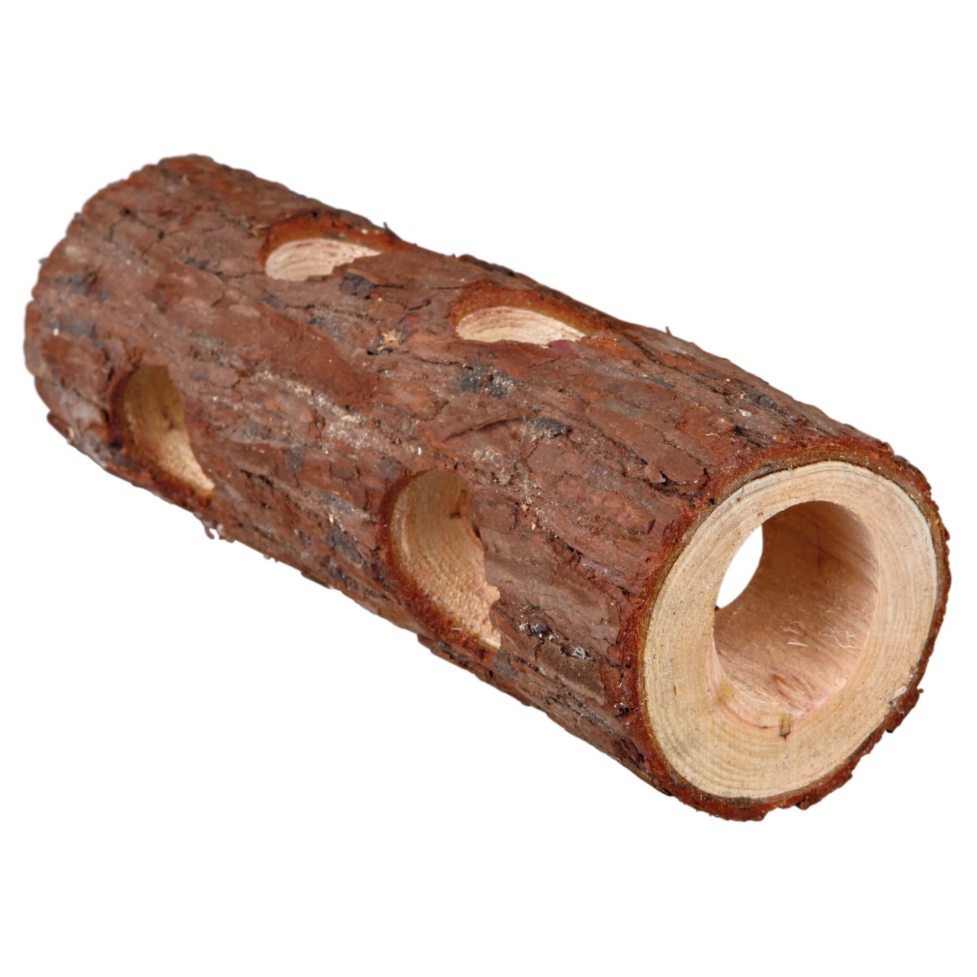 Tunnel avec trous en bois
