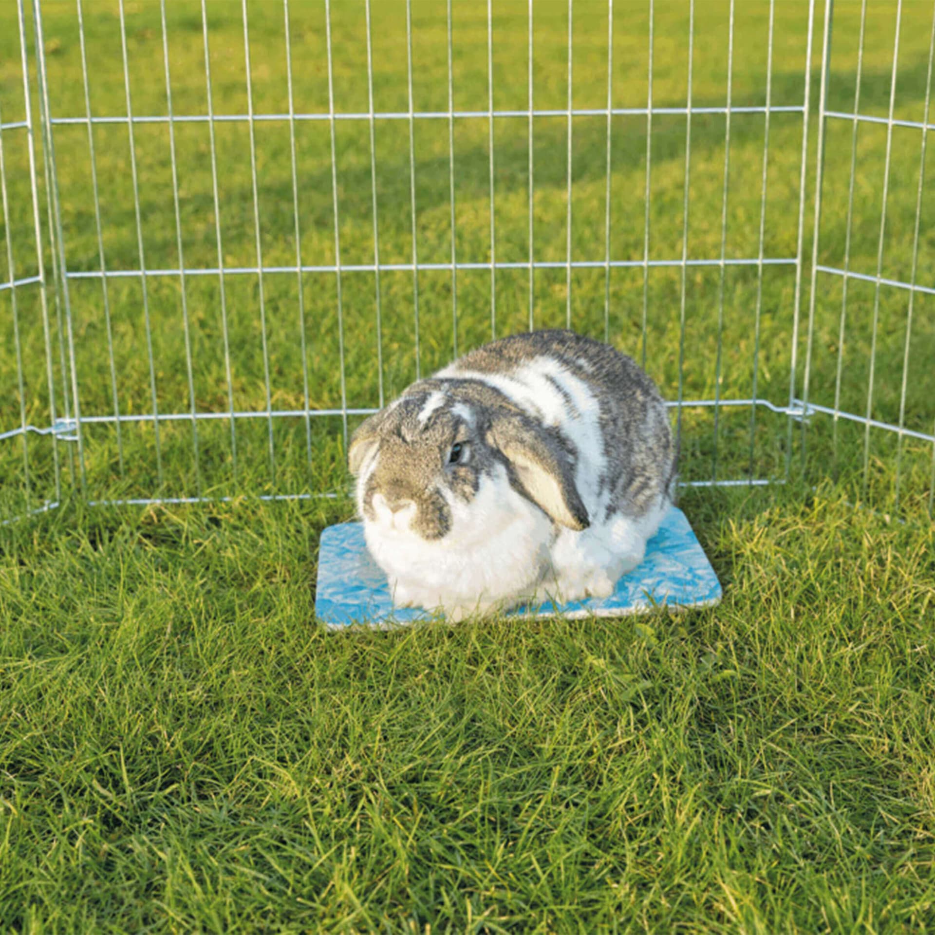 Plaque de refroidissement pour petits animaux