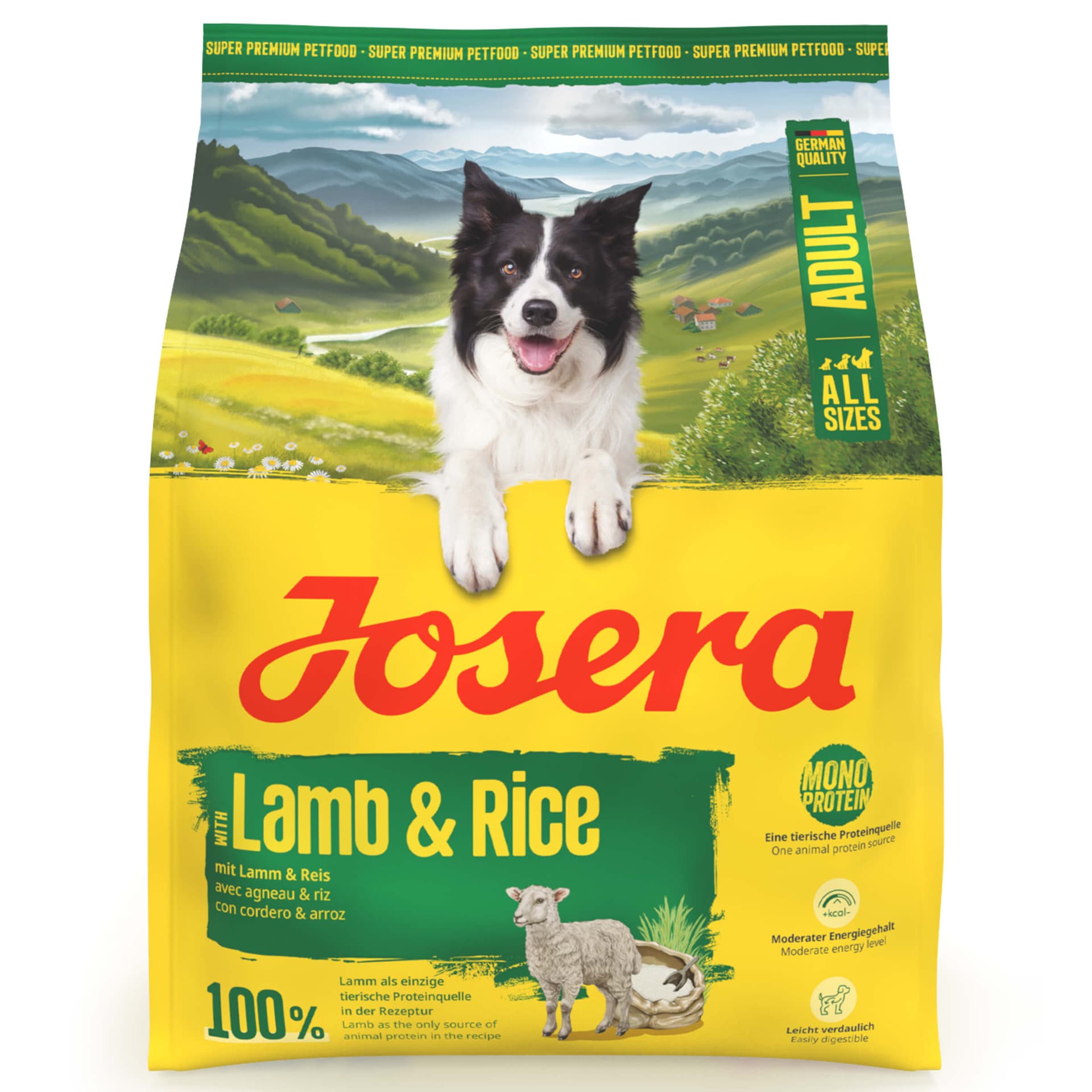 Adult Lamb & Rice